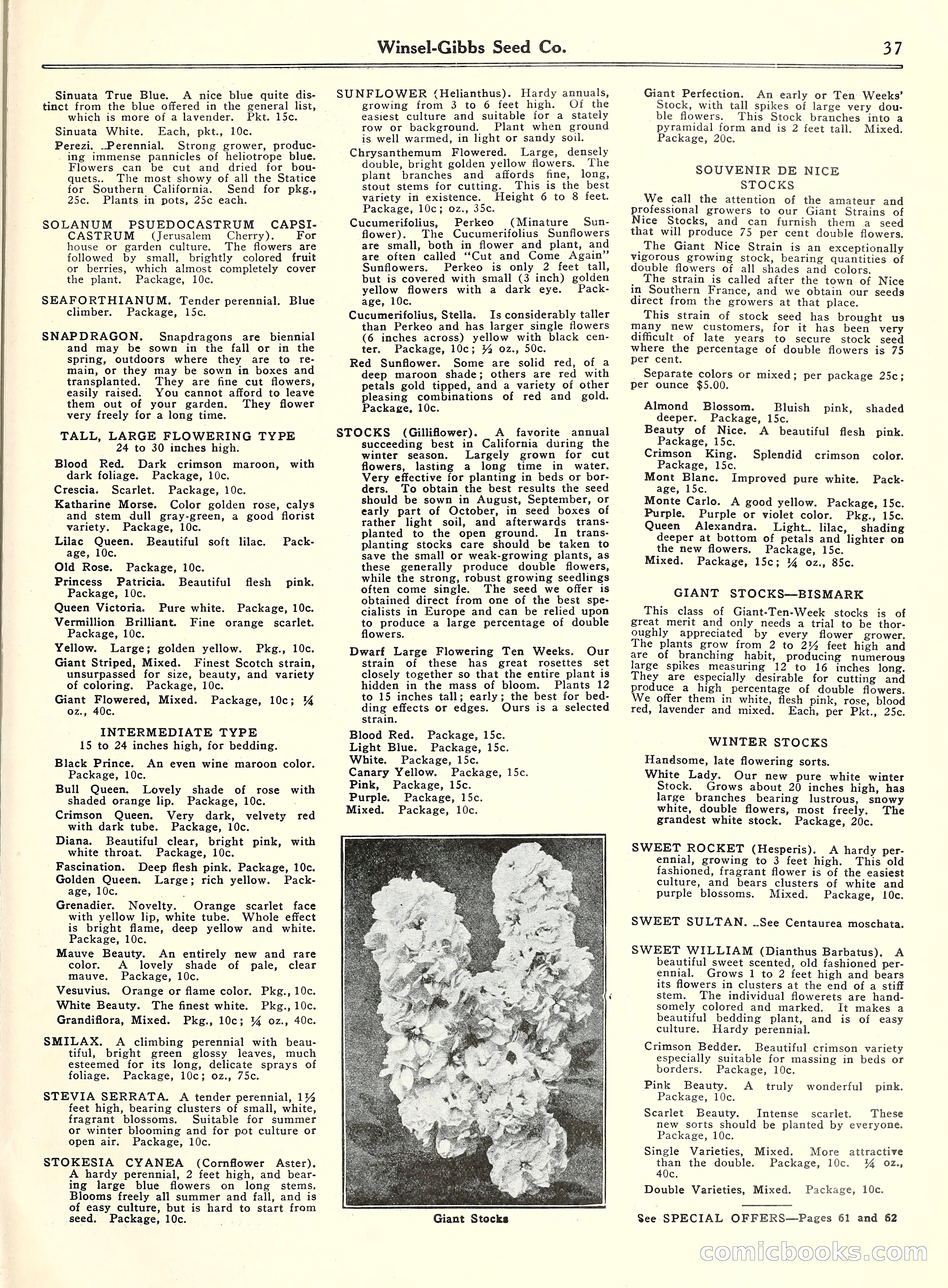 Blue Book of Gardening, 1929 — page 42 of 69