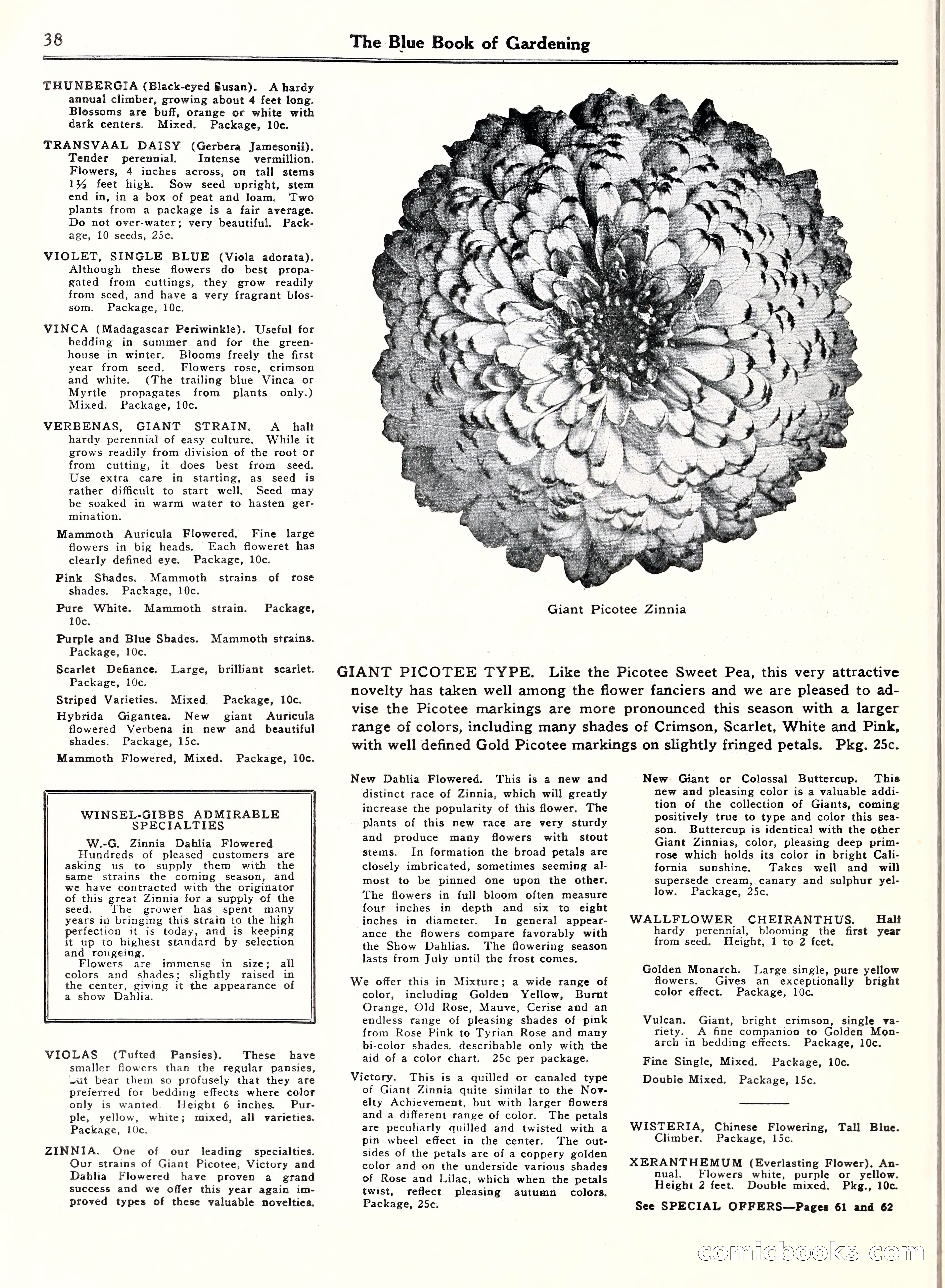 Blue Book of Gardening, 1929 — page 43 of 69