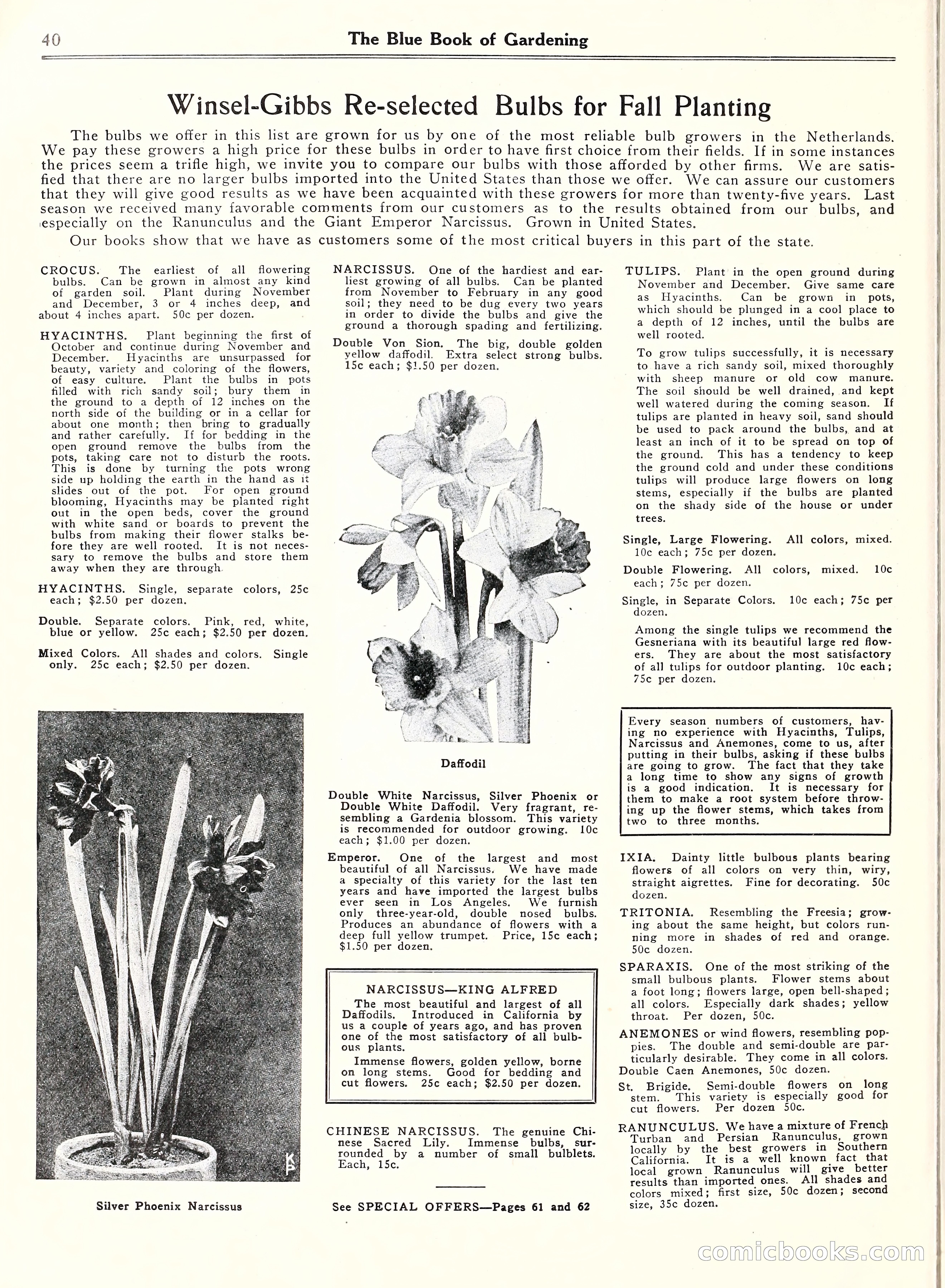 Blue Book of Gardening, 1929 — page 45 of 69