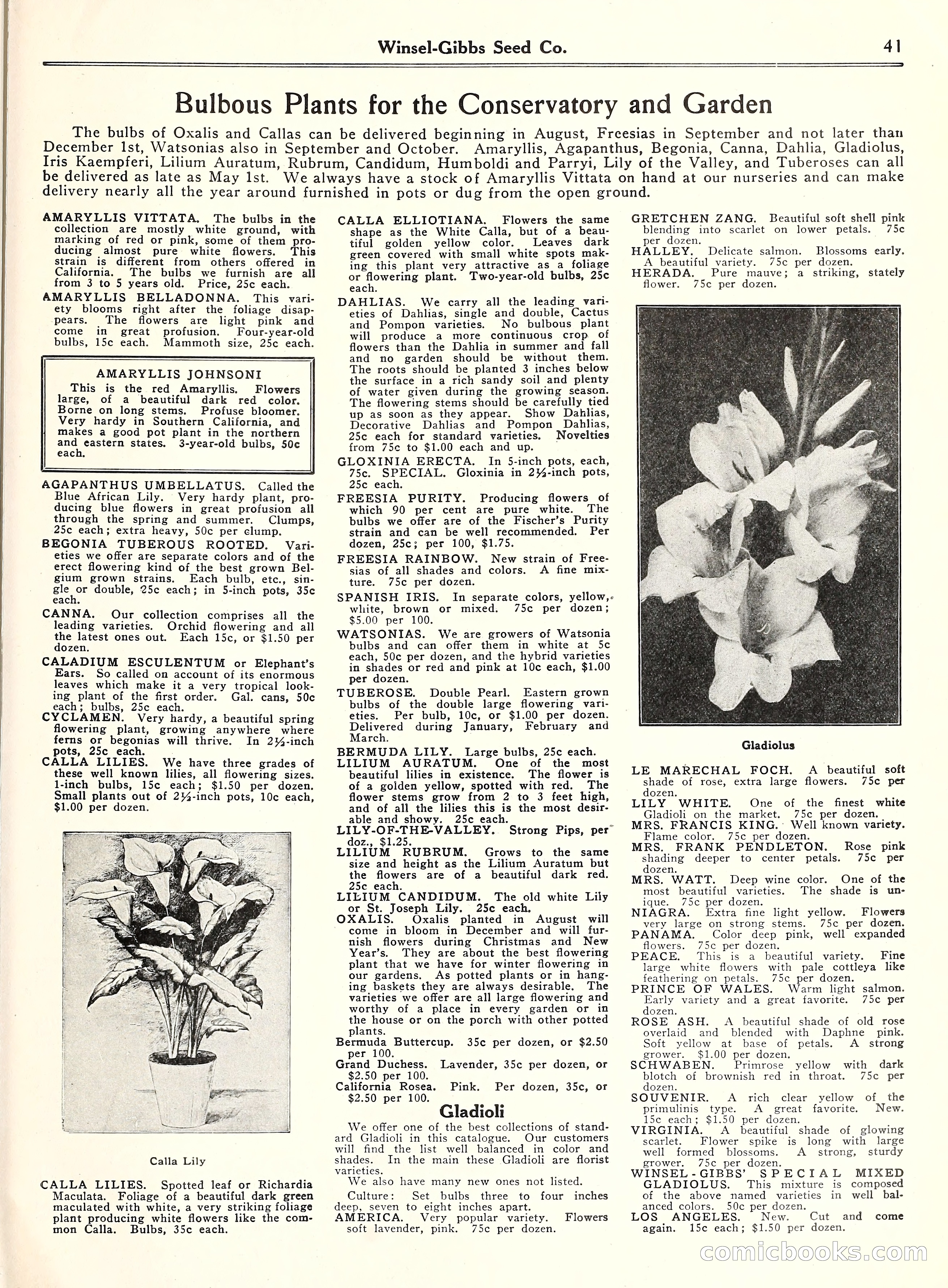 Blue Book of Gardening, 1929 — page 46 of 69