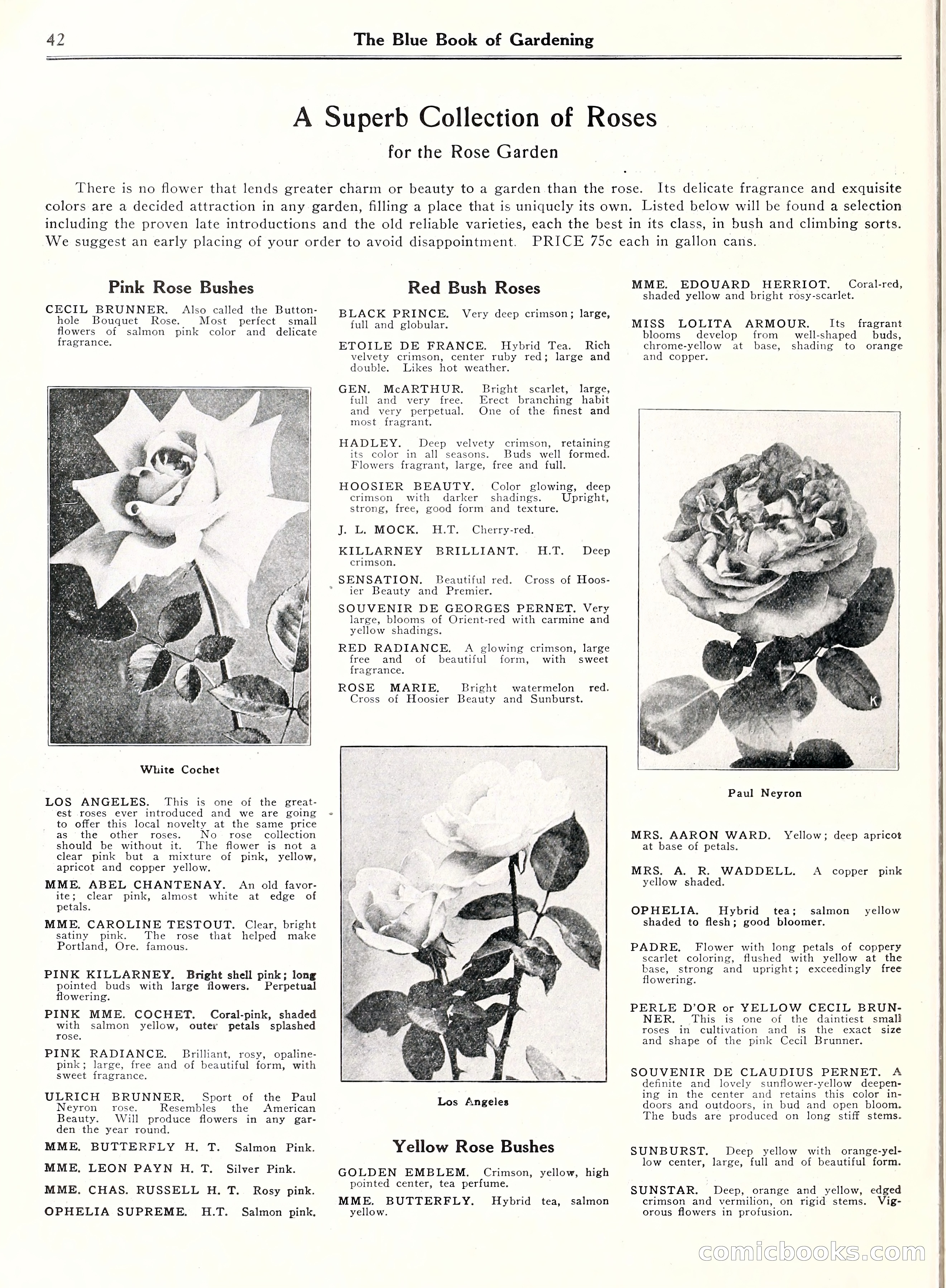 Blue Book of Gardening, 1929 — page 47 of 69