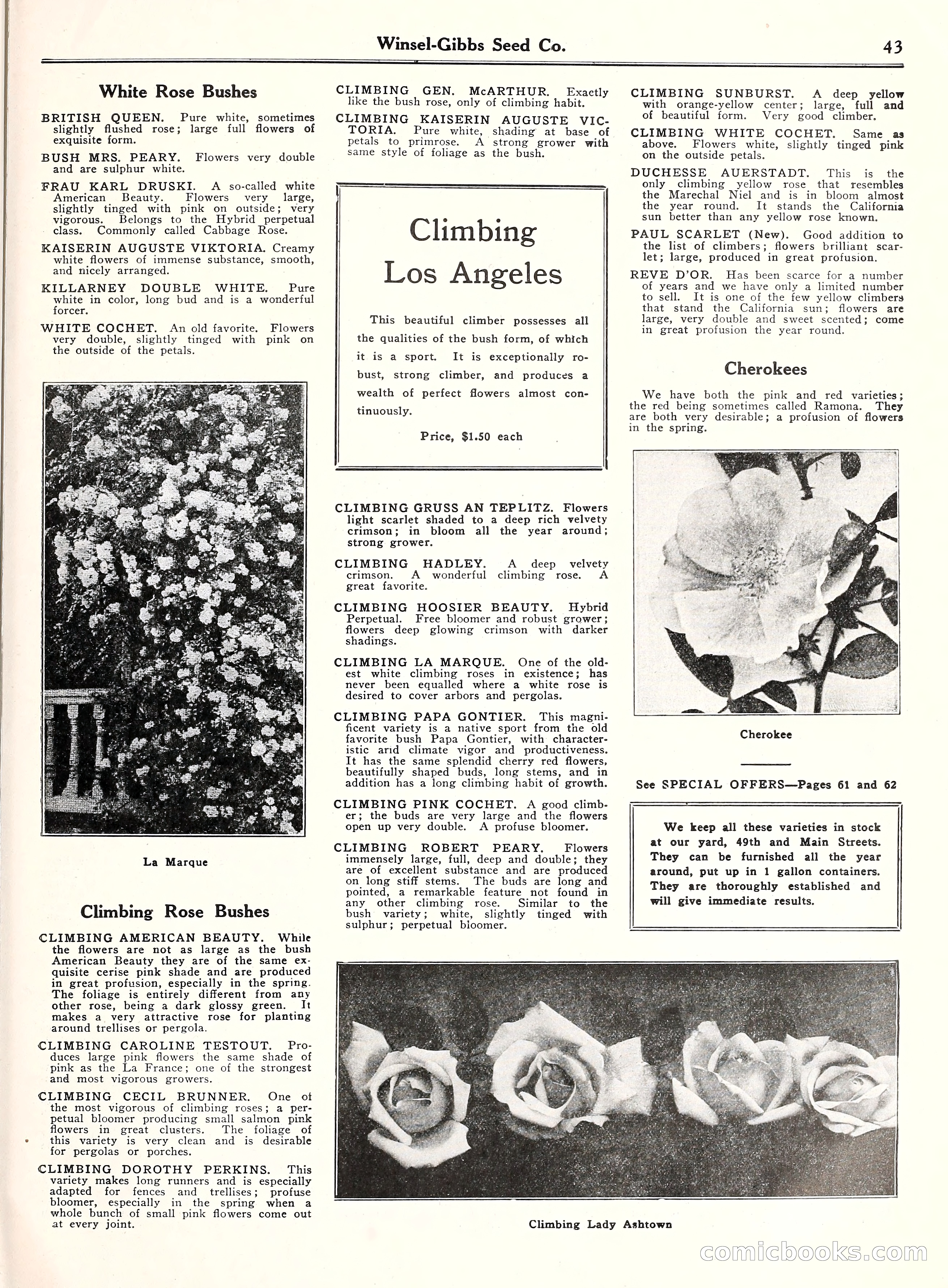 Blue Book of Gardening, 1929 — page 48 of 69
