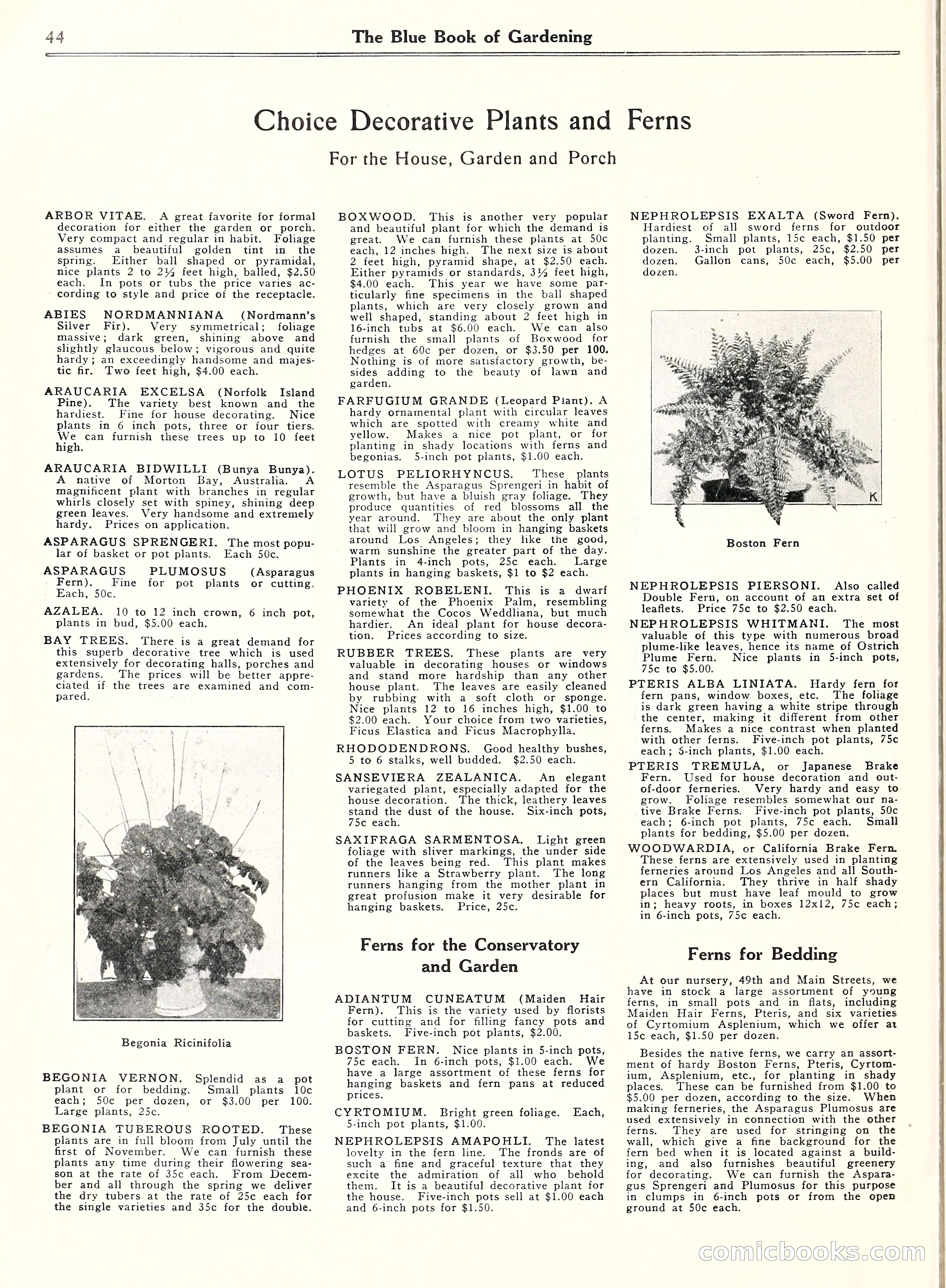 Blue Book of Gardening, 1929 — page 49 of 69