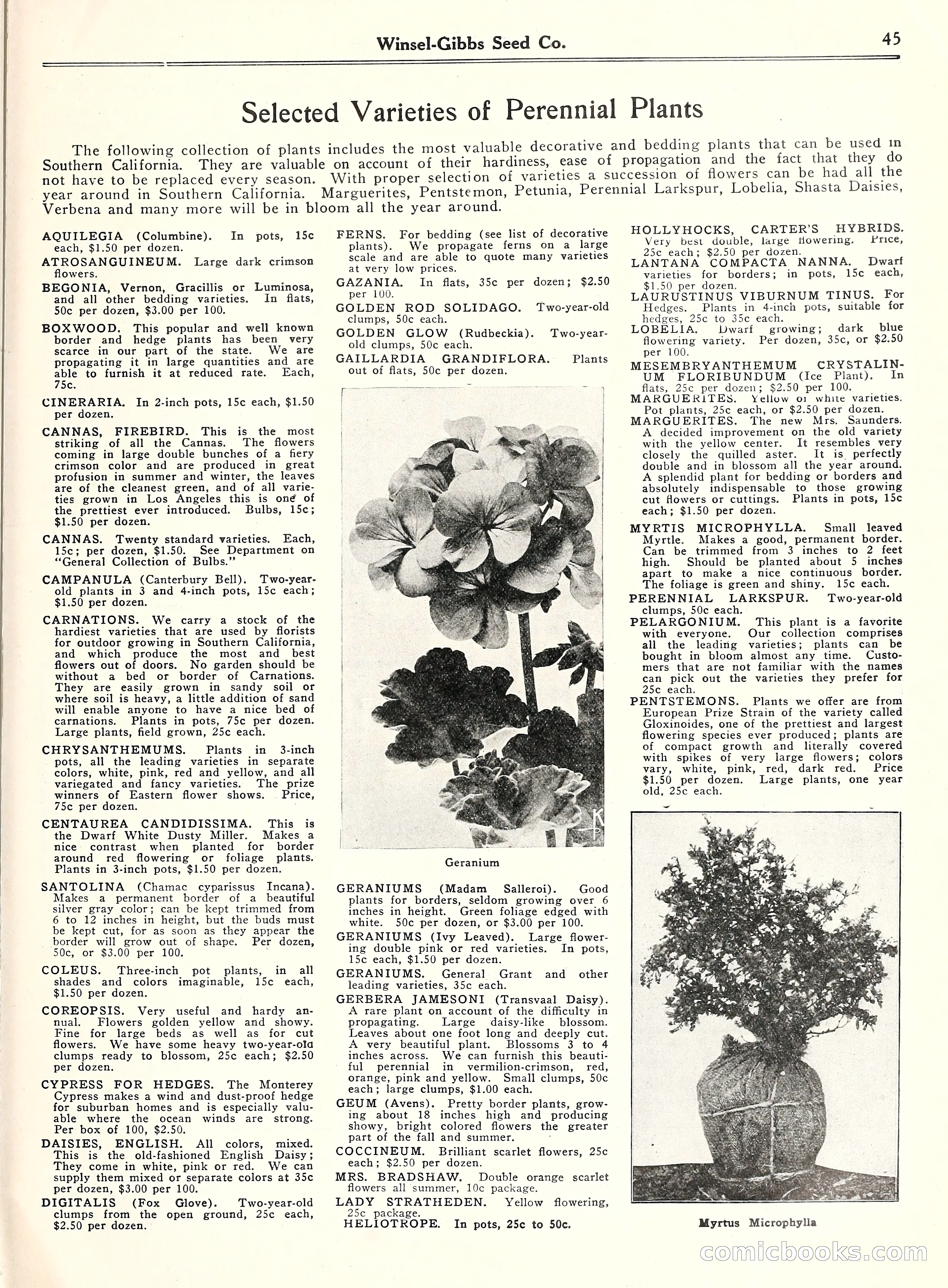 Blue Book of Gardening, 1929 — page 50 of 69