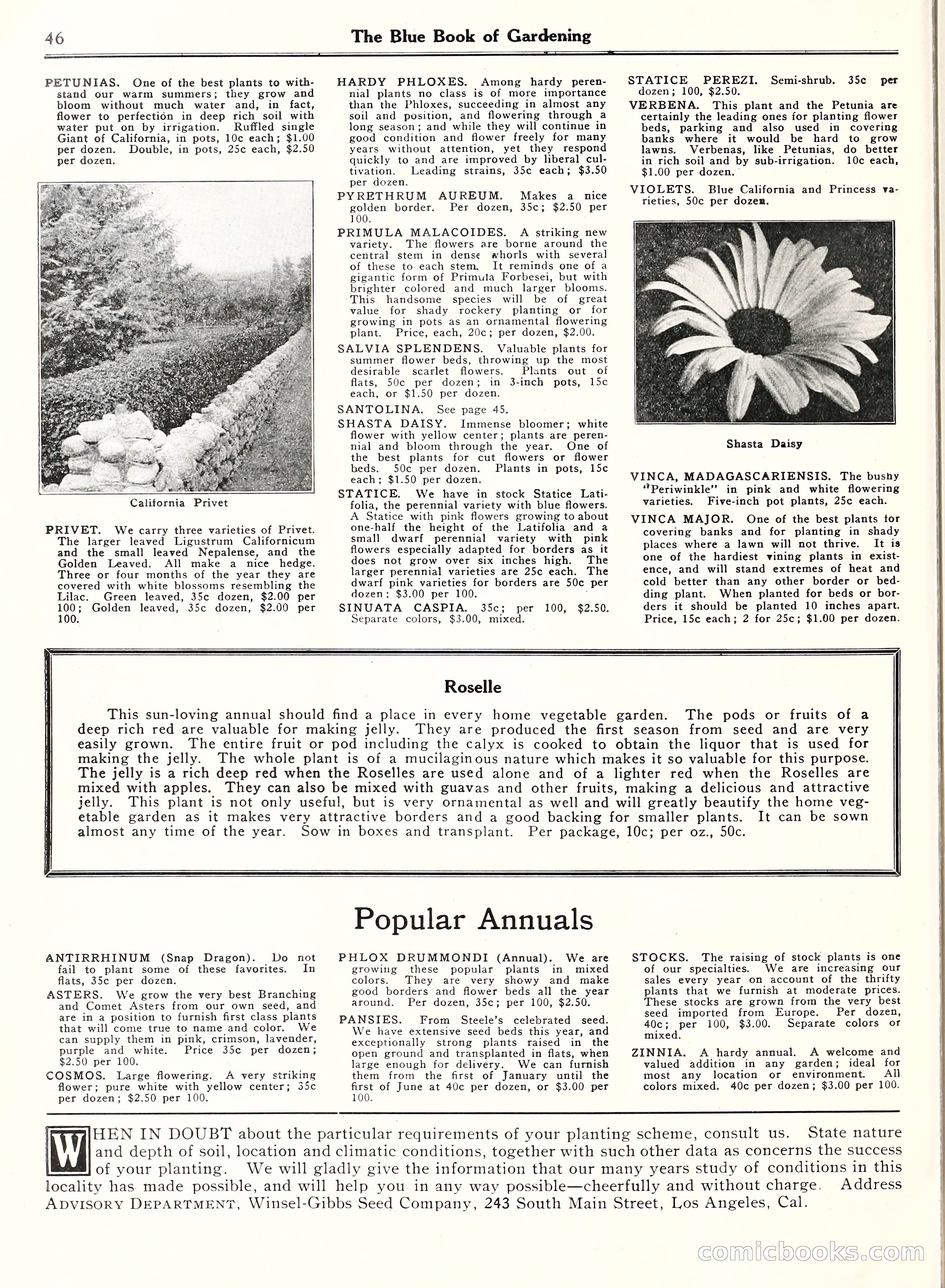 Blue Book of Gardening, 1929 — page 51 of 69