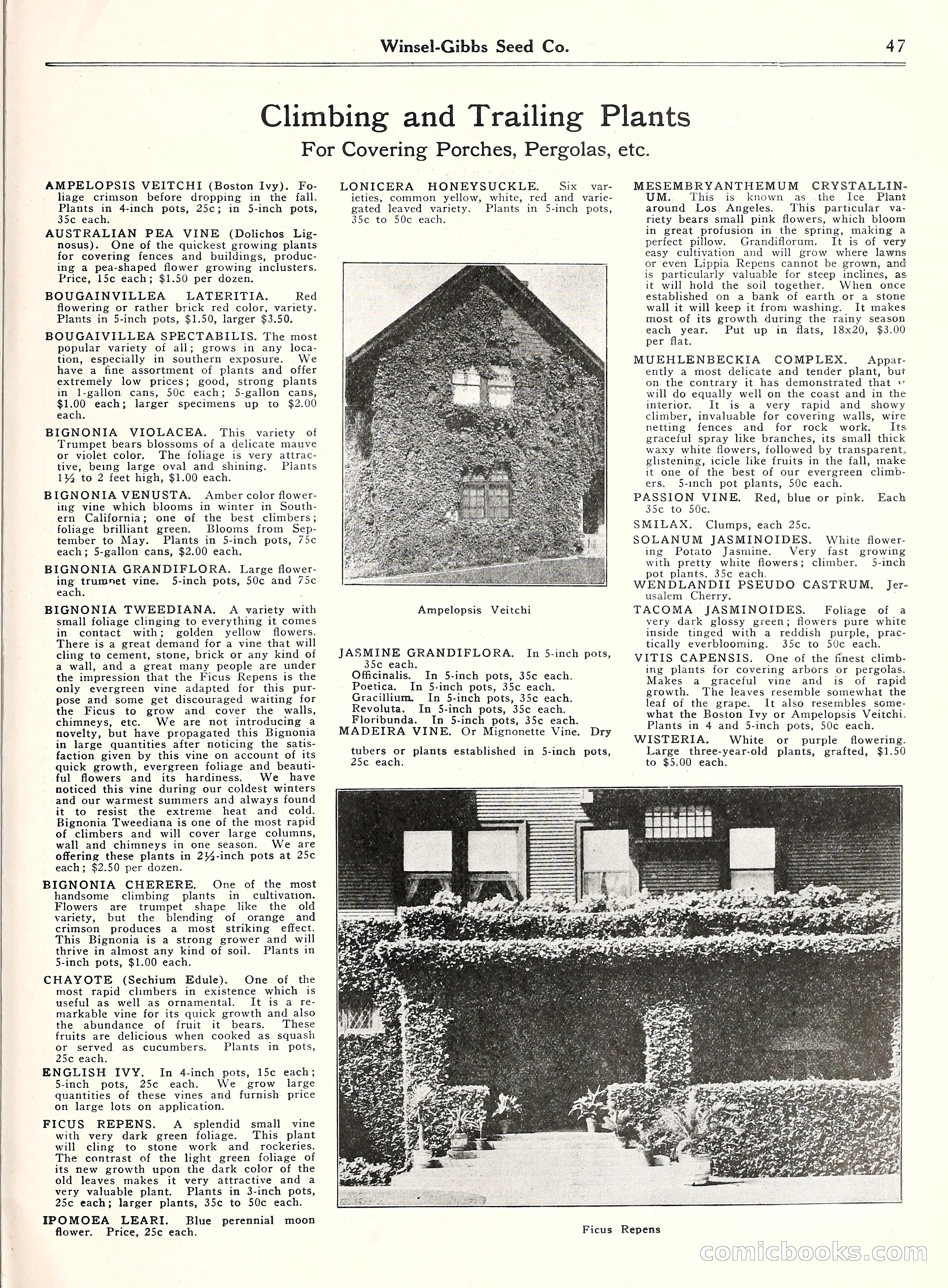 Blue Book of Gardening, 1929 — page 52 of 69