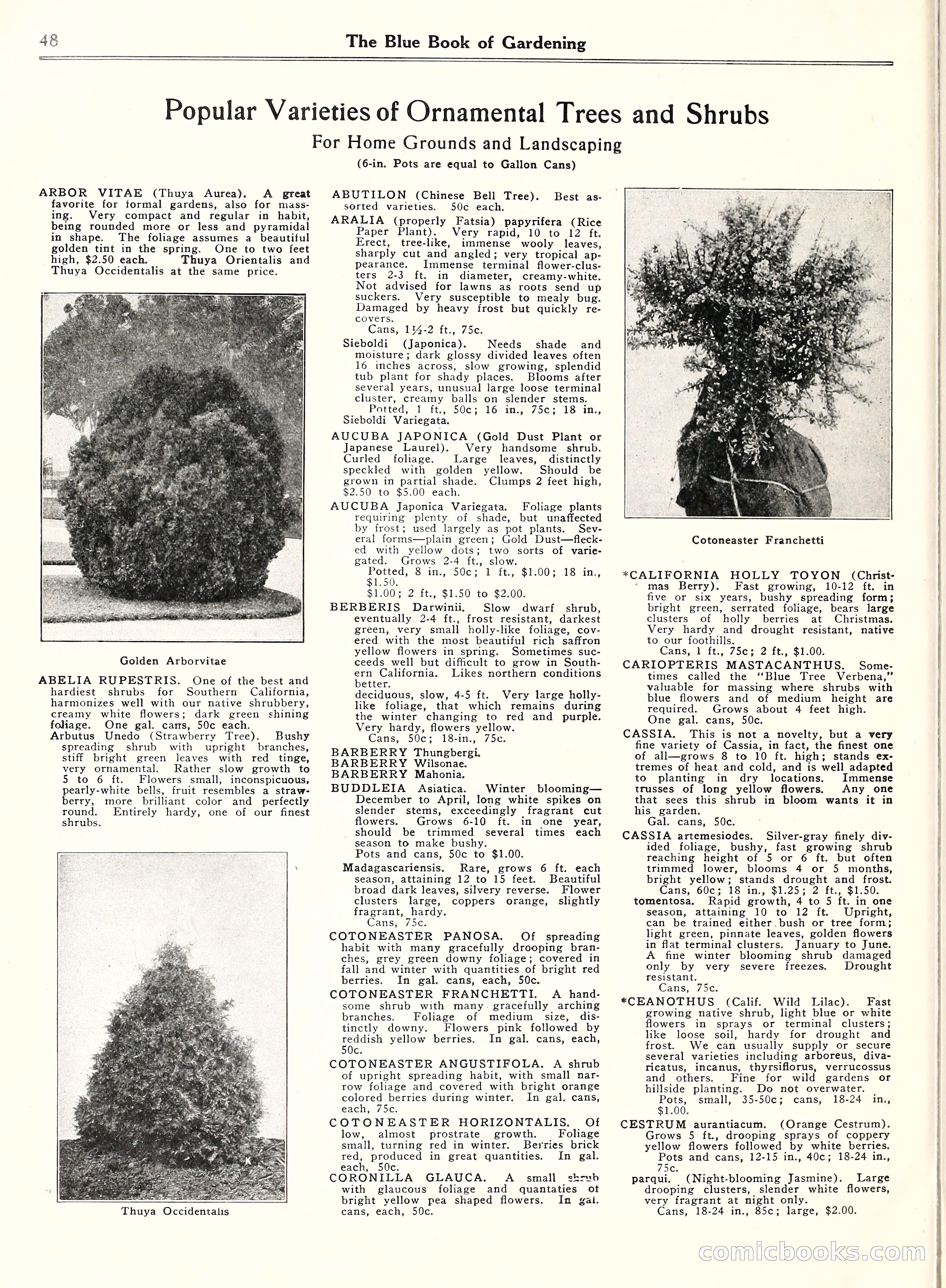 Blue Book of Gardening, 1929 — page 53 of 69