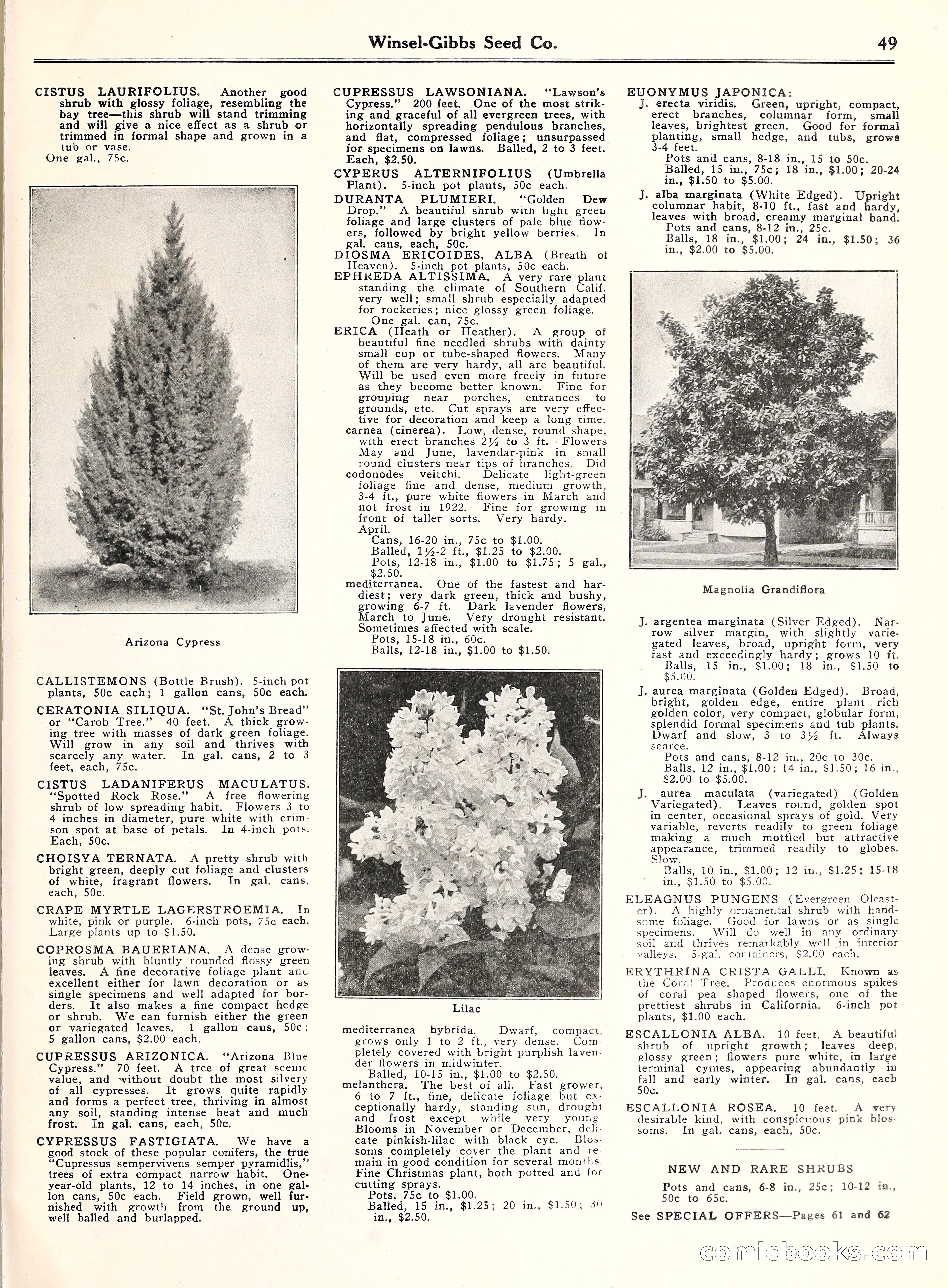 Blue Book of Gardening, 1929 — page 54 of 69