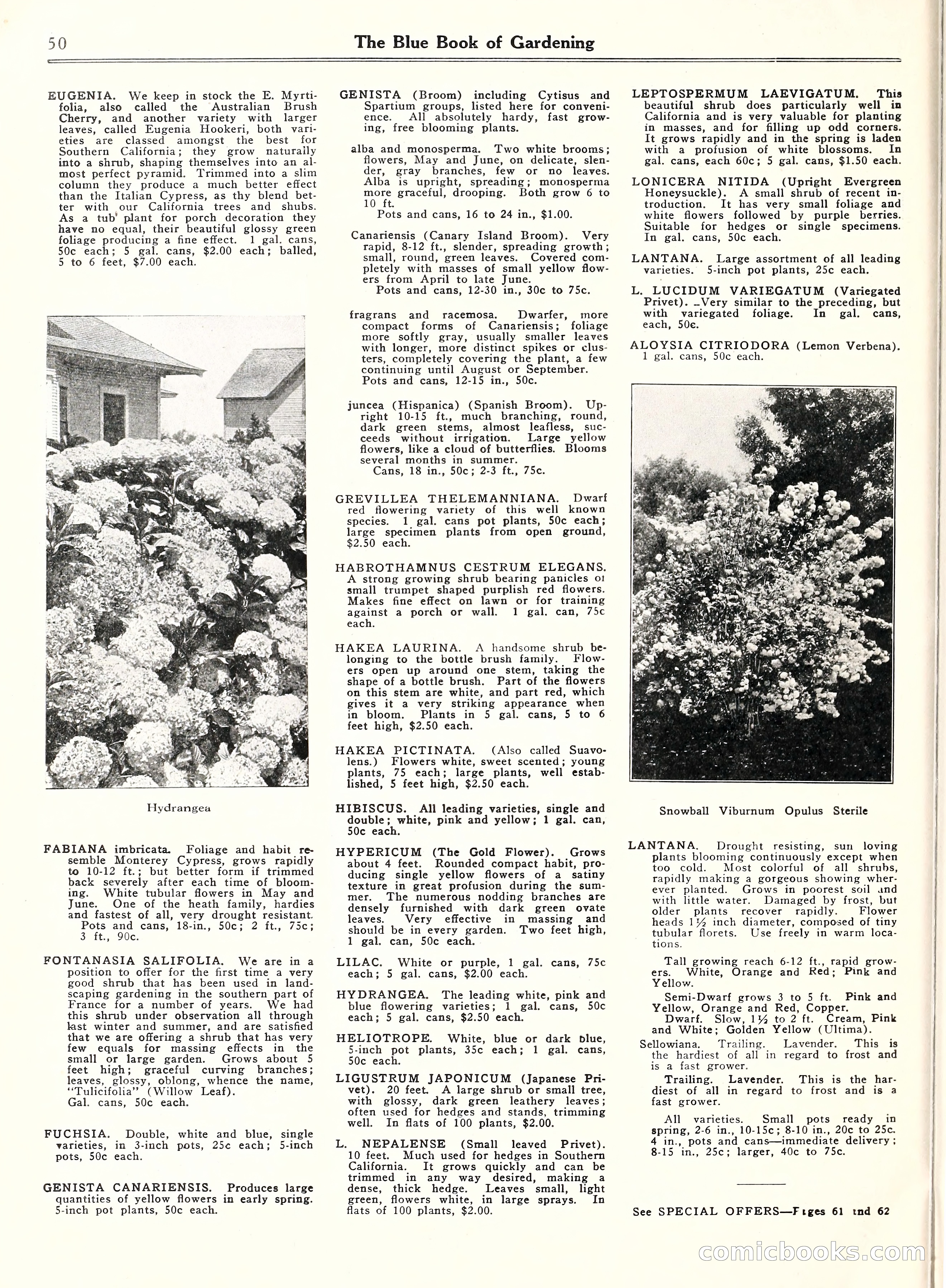 Blue Book of Gardening, 1929 — page 55 of 69