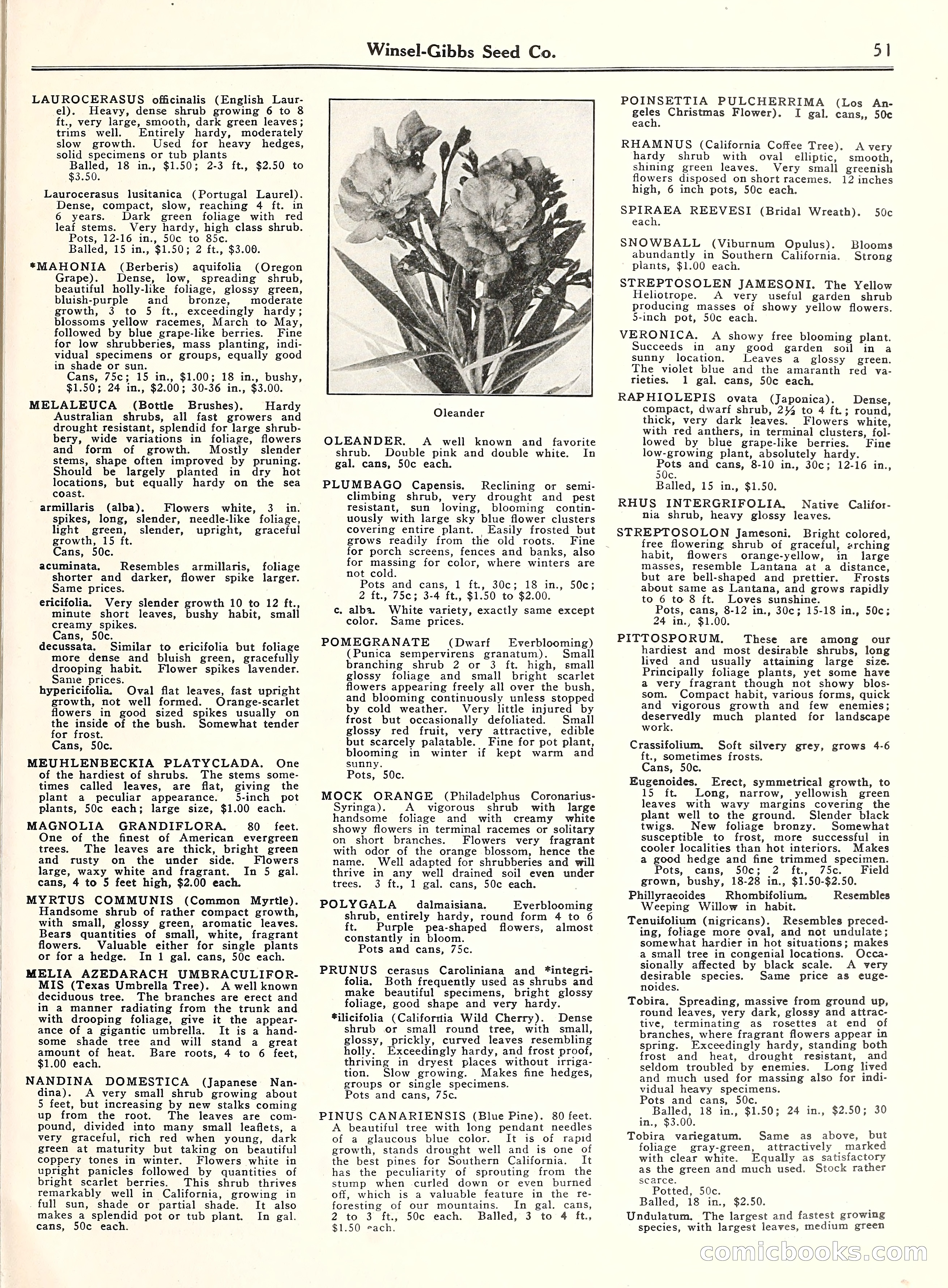 Blue Book of Gardening, 1929 — page 56 of 69
