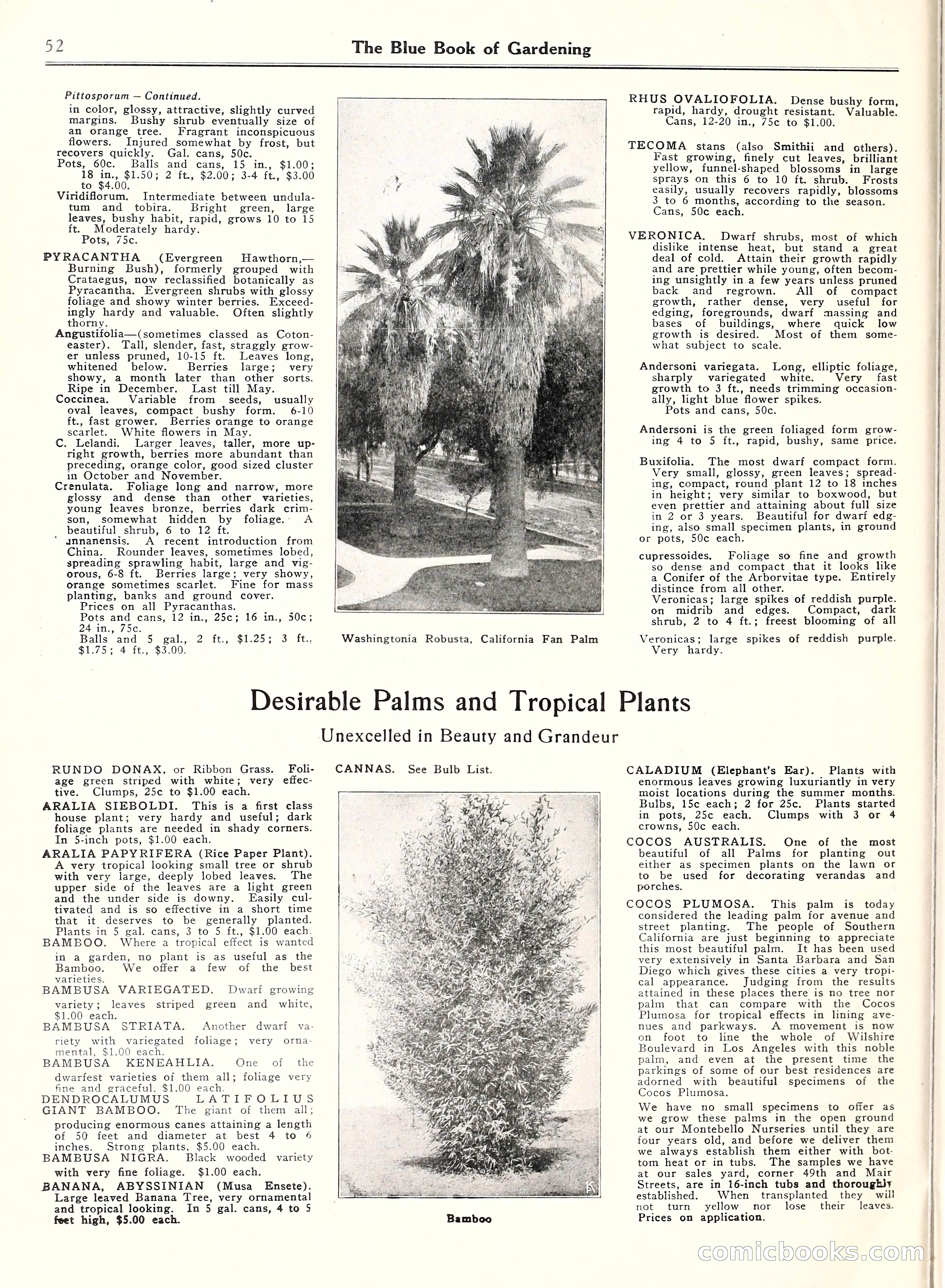 Blue Book of Gardening, 1929 — page 57 of 69