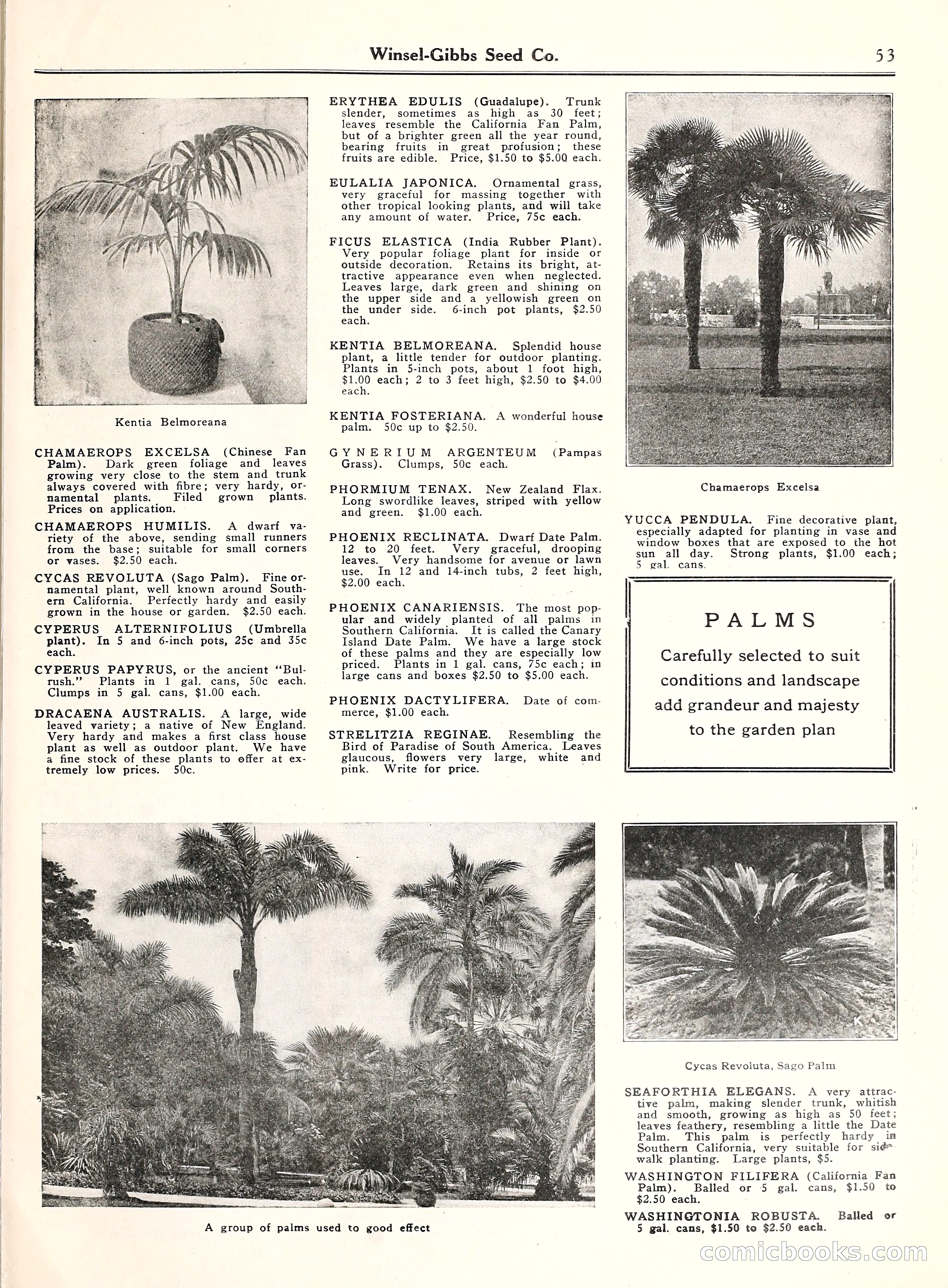 Blue Book of Gardening, 1929 — page 58 of 69