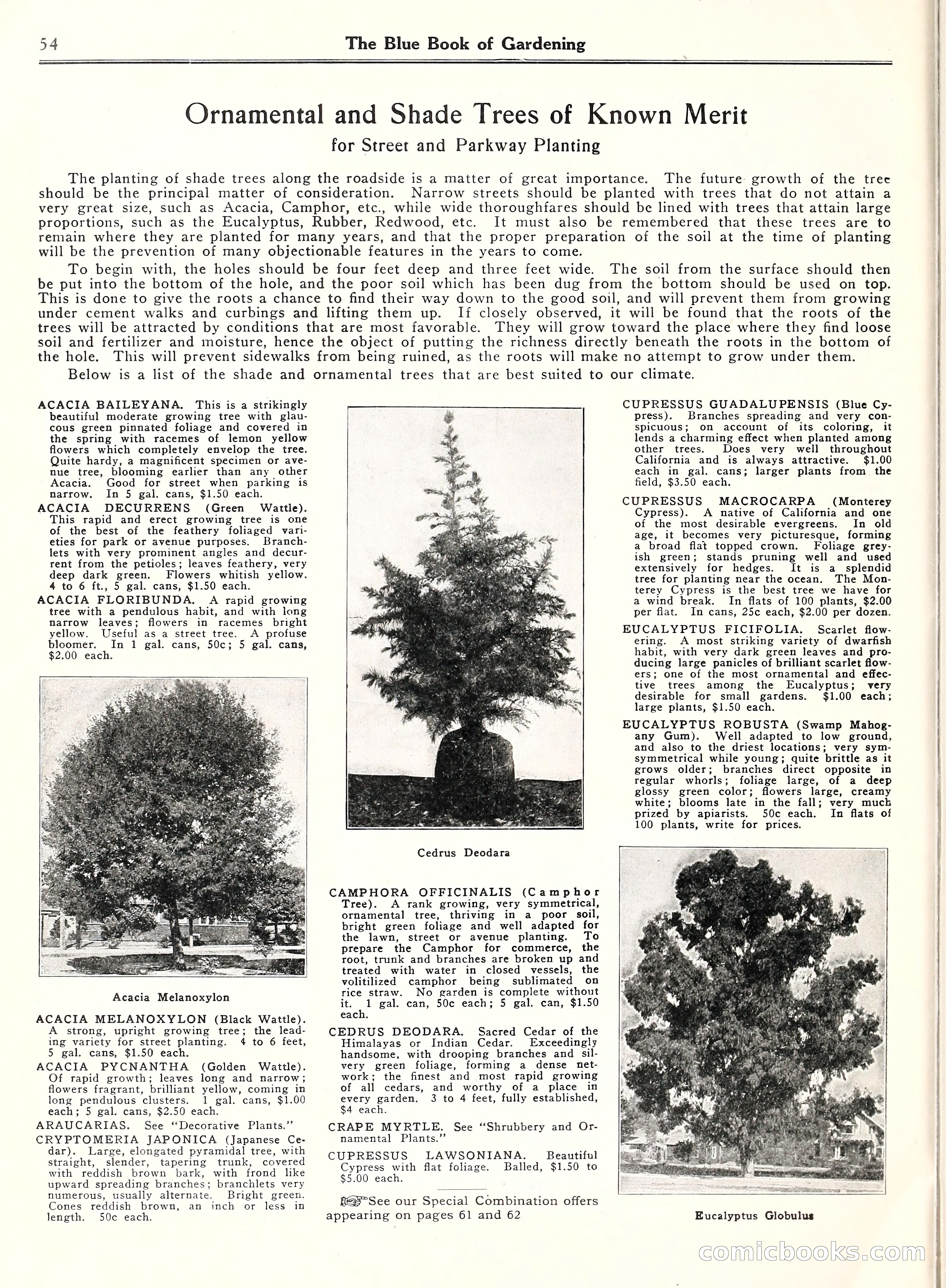 Blue Book of Gardening, 1929 — page 59 of 69