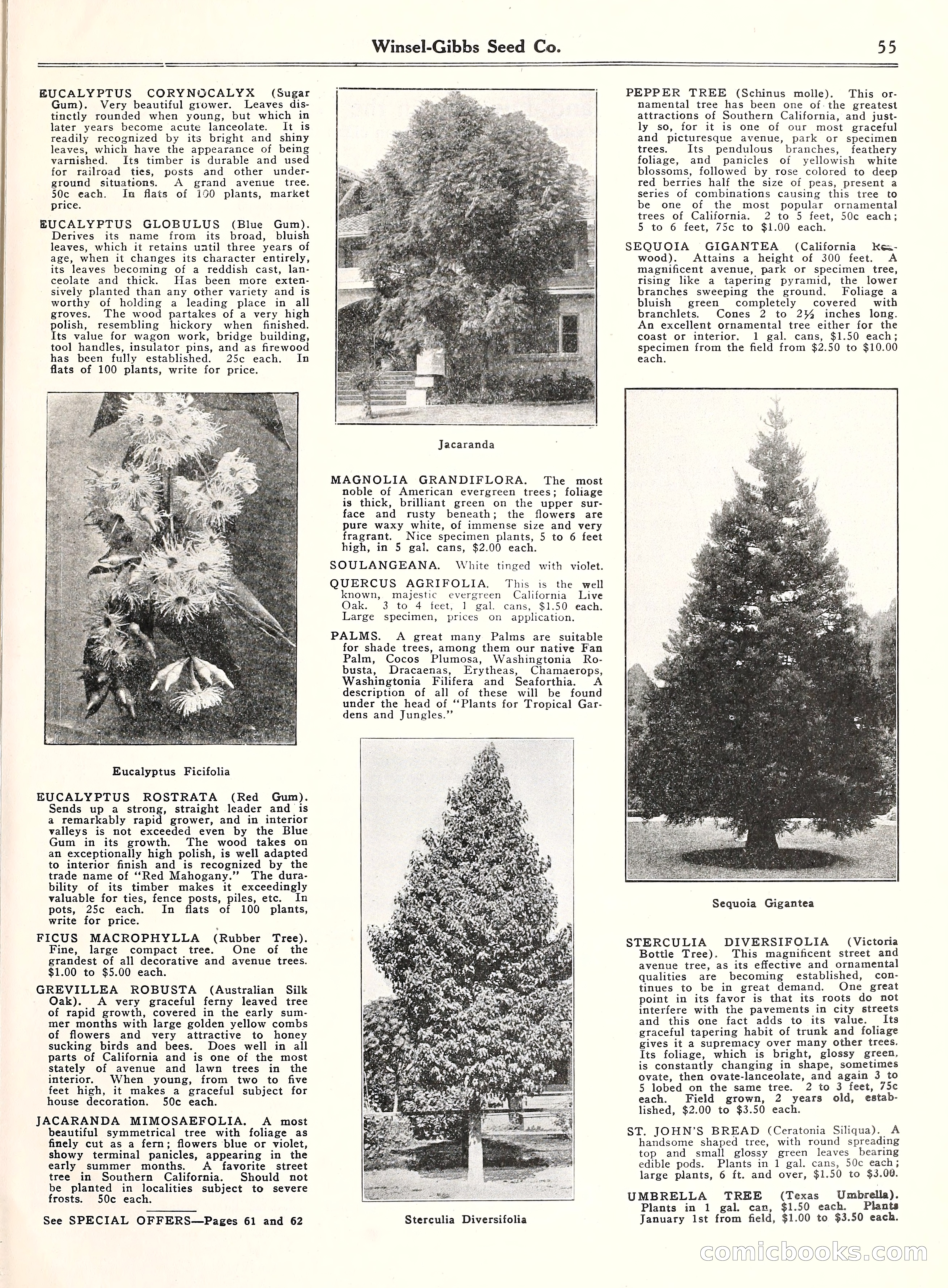 Blue Book of Gardening, 1929 — page 60 of 69