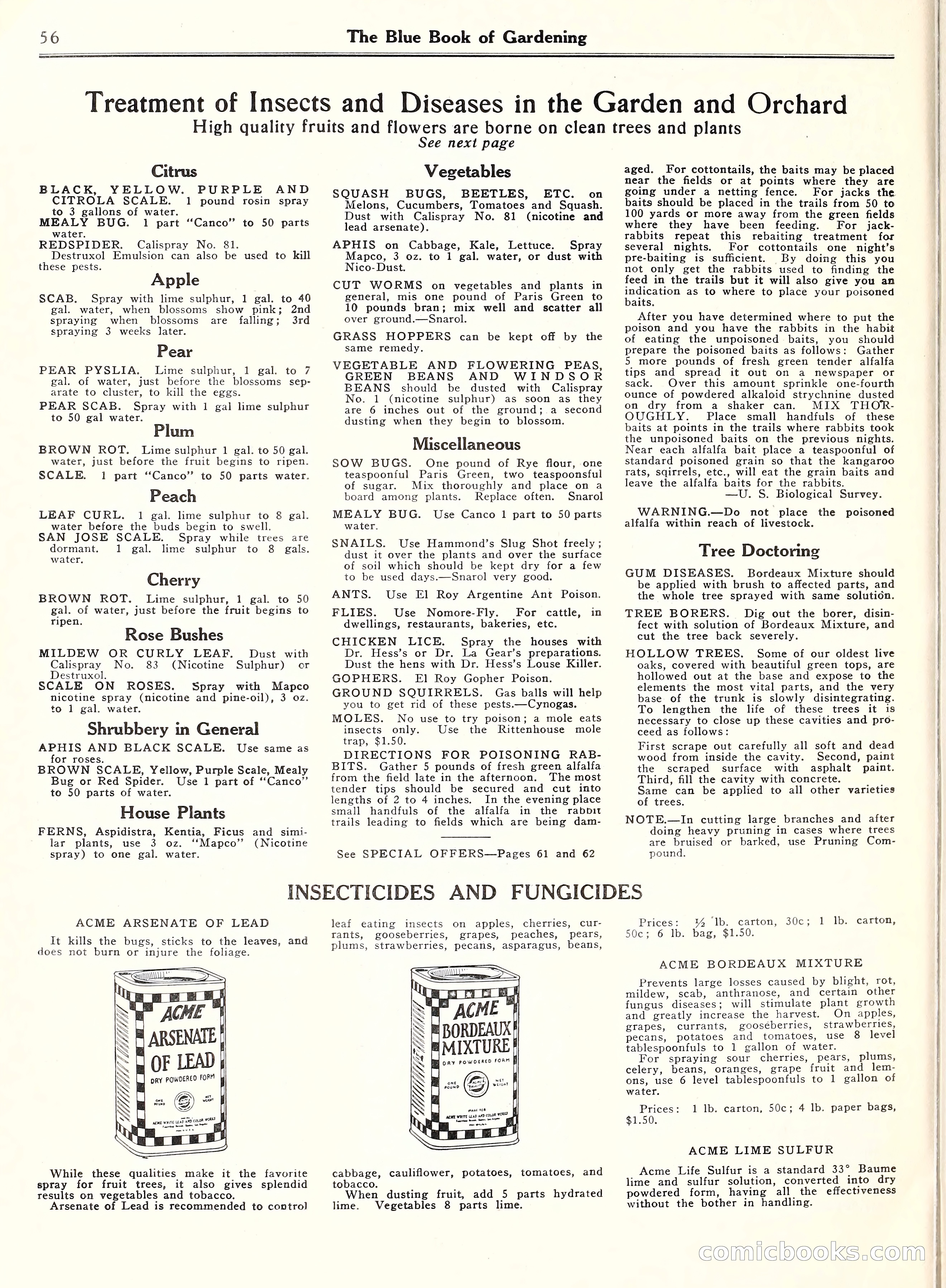Blue Book of Gardening, 1929 — page 61 of 69