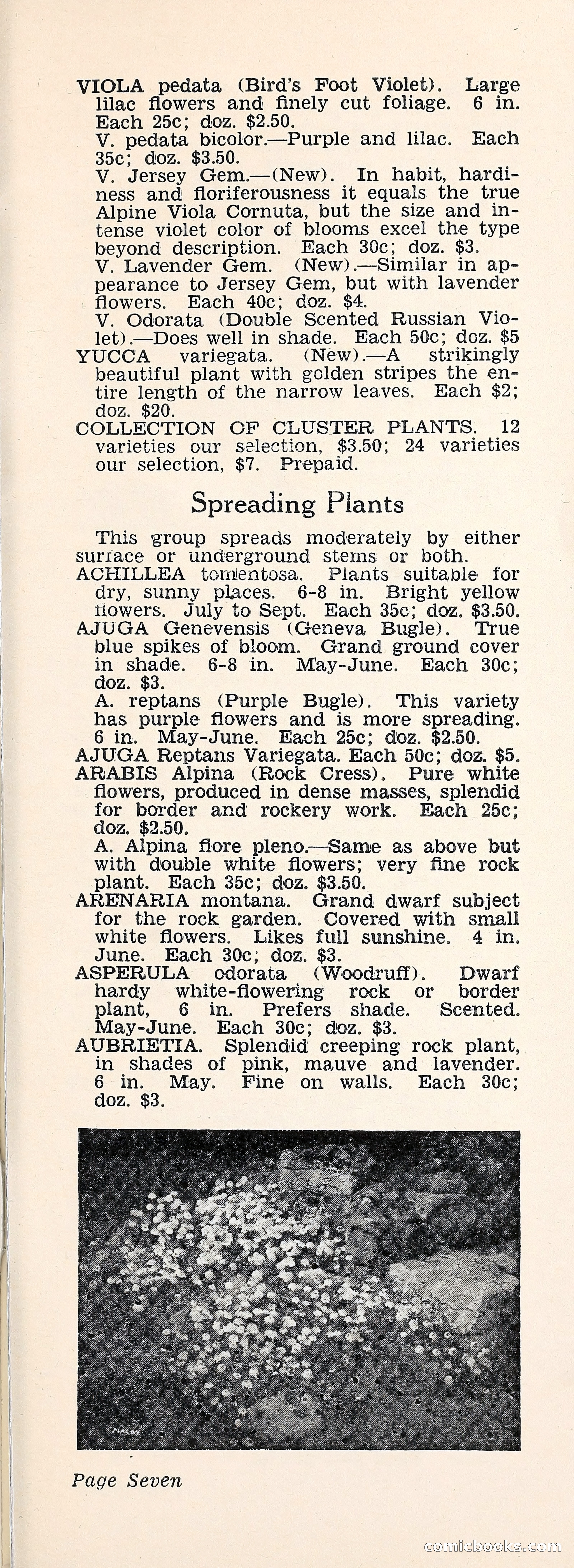 Crockett's Blue Book: Alpines, Perennials, Seeds, Bulbs — page 12 of 37