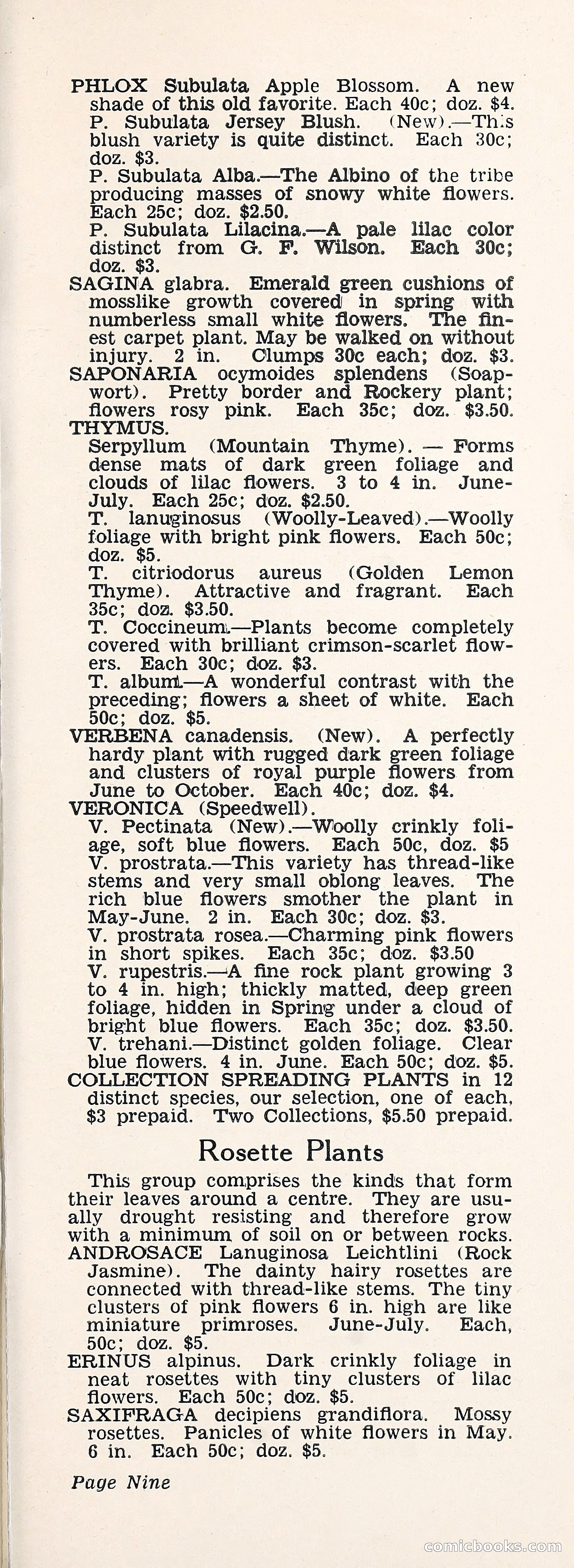 Crockett's Blue Book: Alpines, Perennials, Seeds, Bulbs — page 14 of 37
