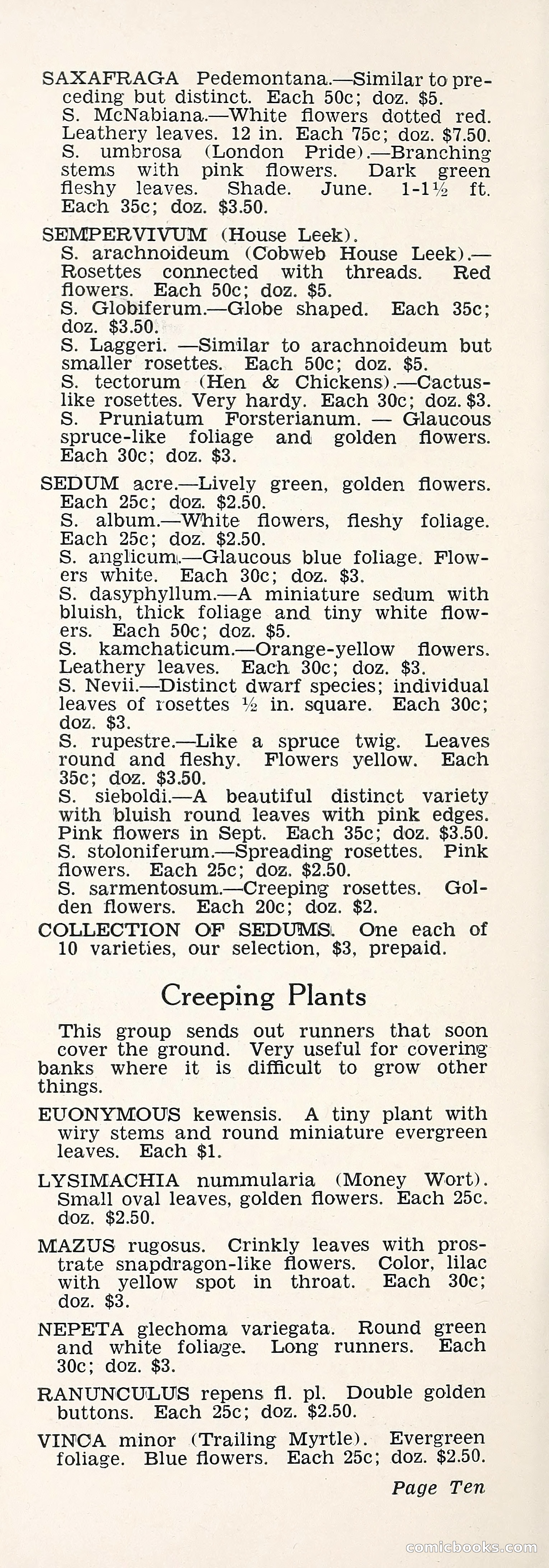 Crockett's Blue Book: Alpines, Perennials, Seeds, Bulbs — page 15 of 37