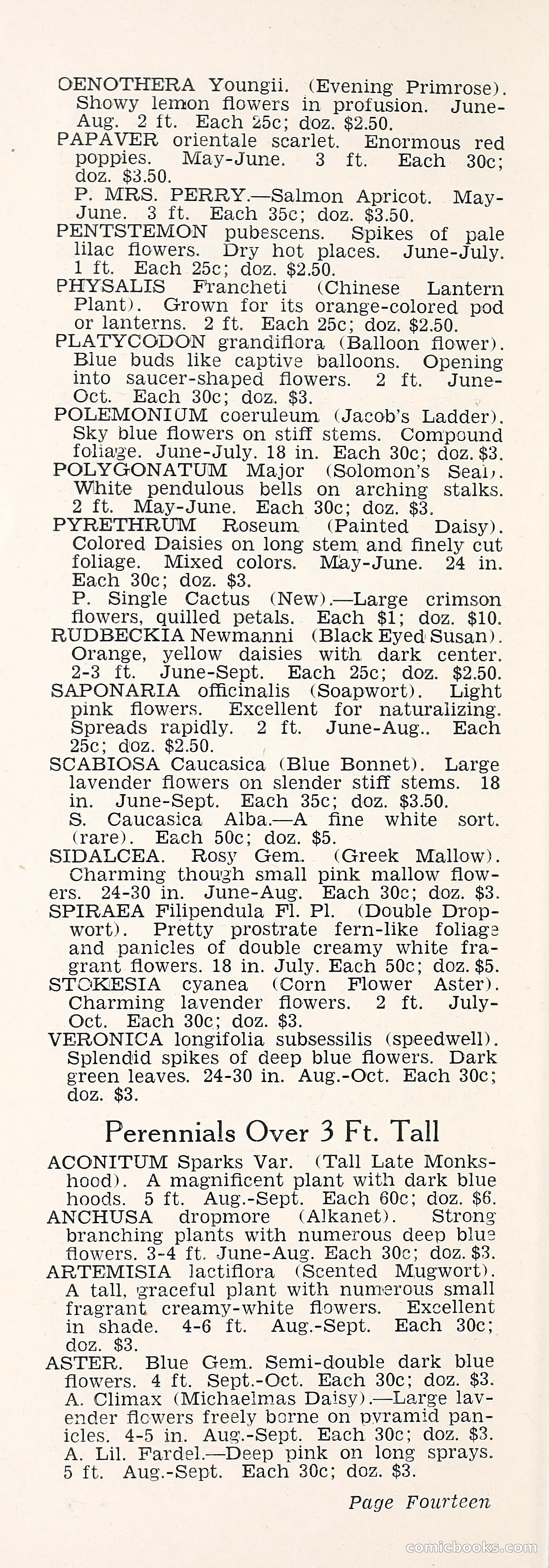 Crockett's Blue Book: Alpines, Perennials, Seeds, Bulbs — page 19 of 37