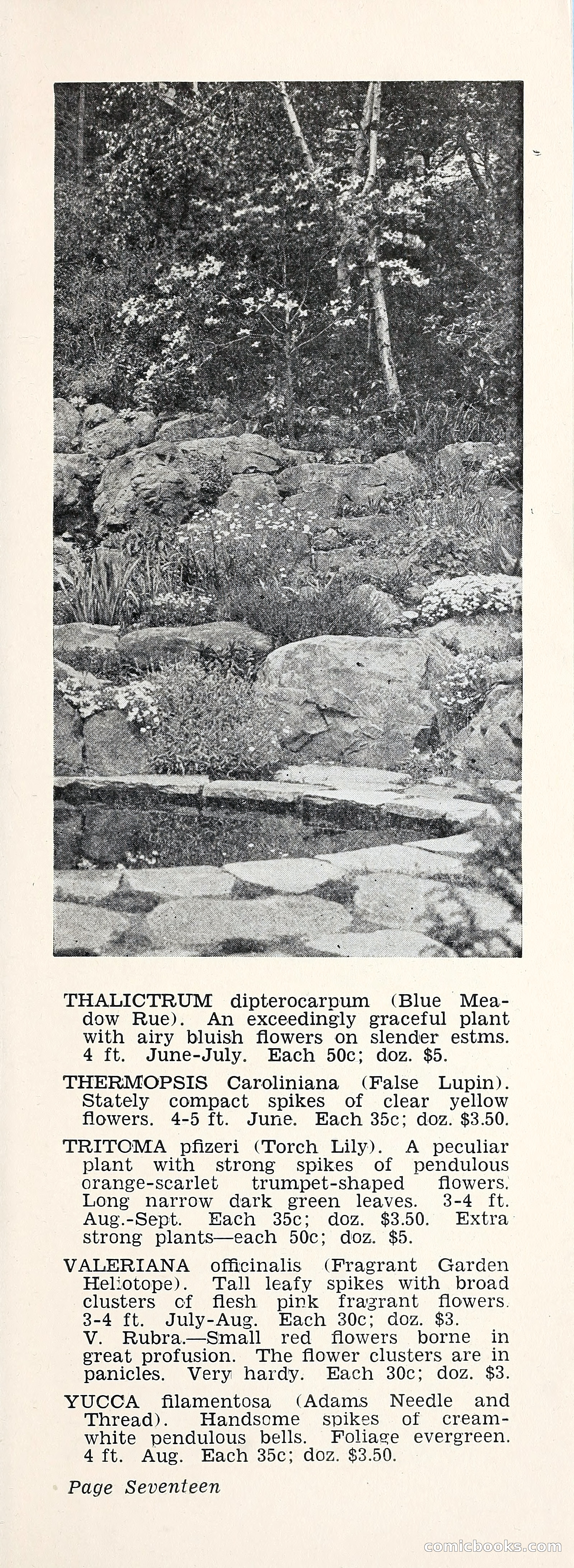 Crockett's Blue Book: Alpines, Perennials, Seeds, Bulbs — page 22 of 37