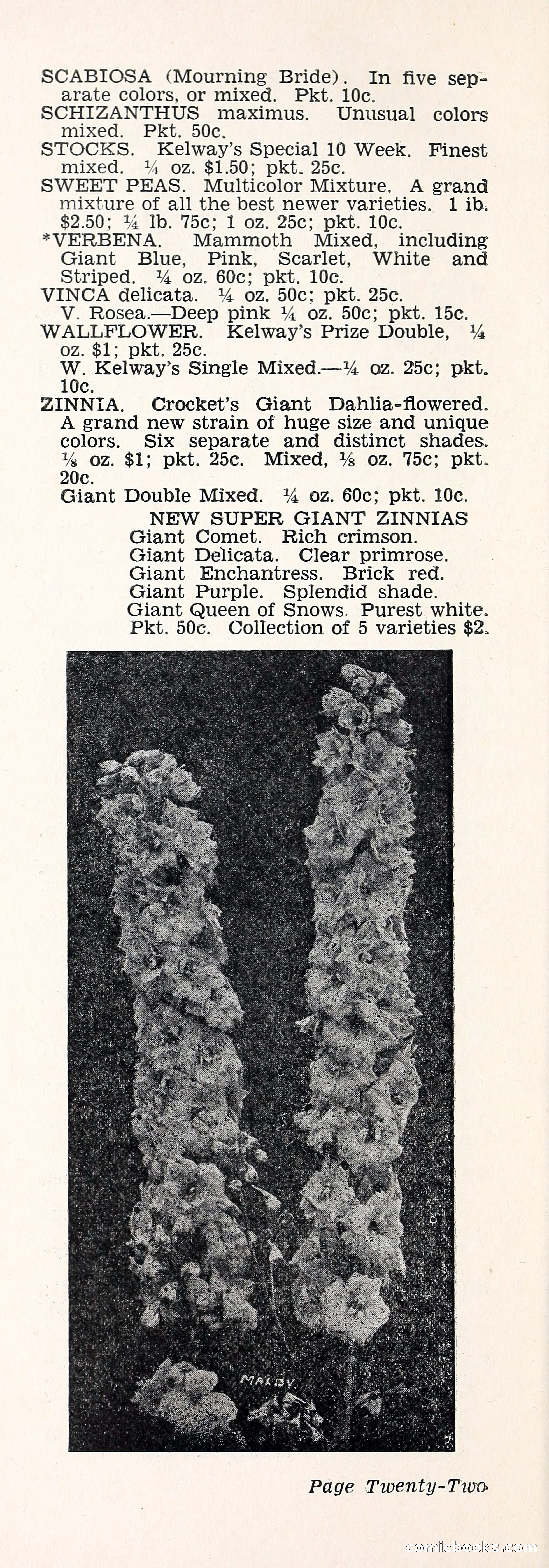 Crockett's Blue Book: Alpines, Perennials, Seeds, Bulbs — page 27 of 37