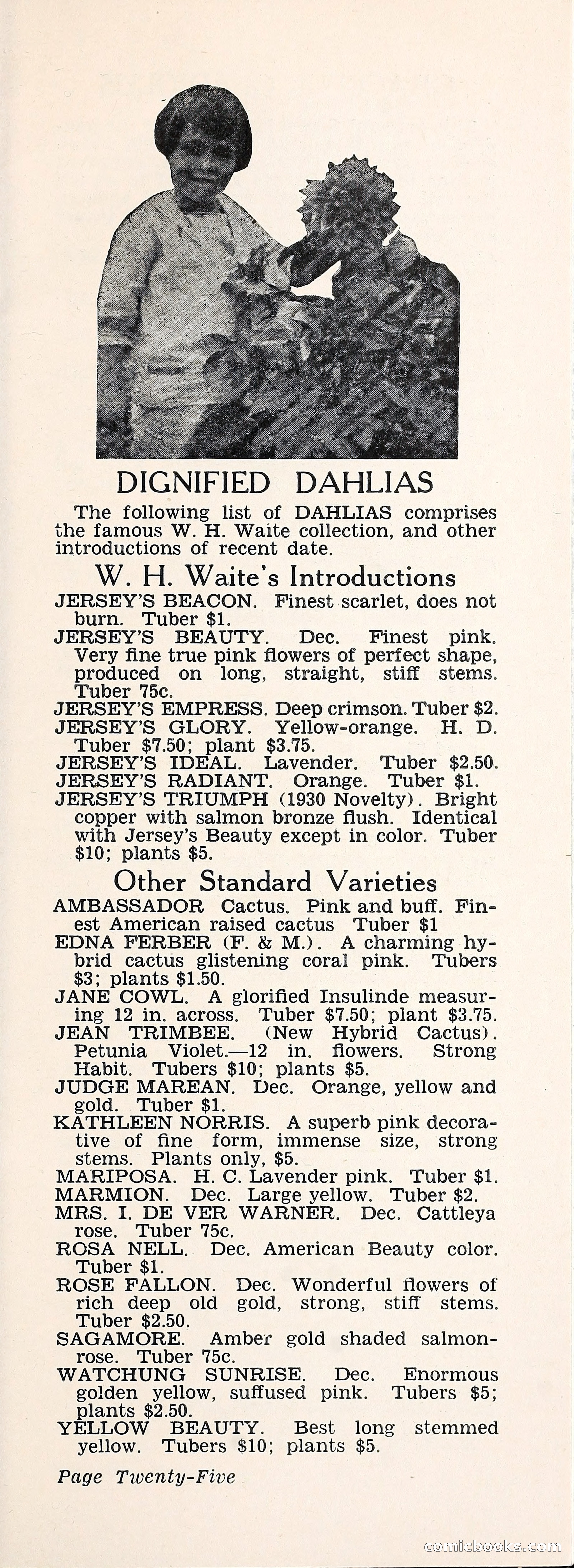 Crockett's Blue Book: Alpines, Perennials, Seeds, Bulbs — page 30 of 37