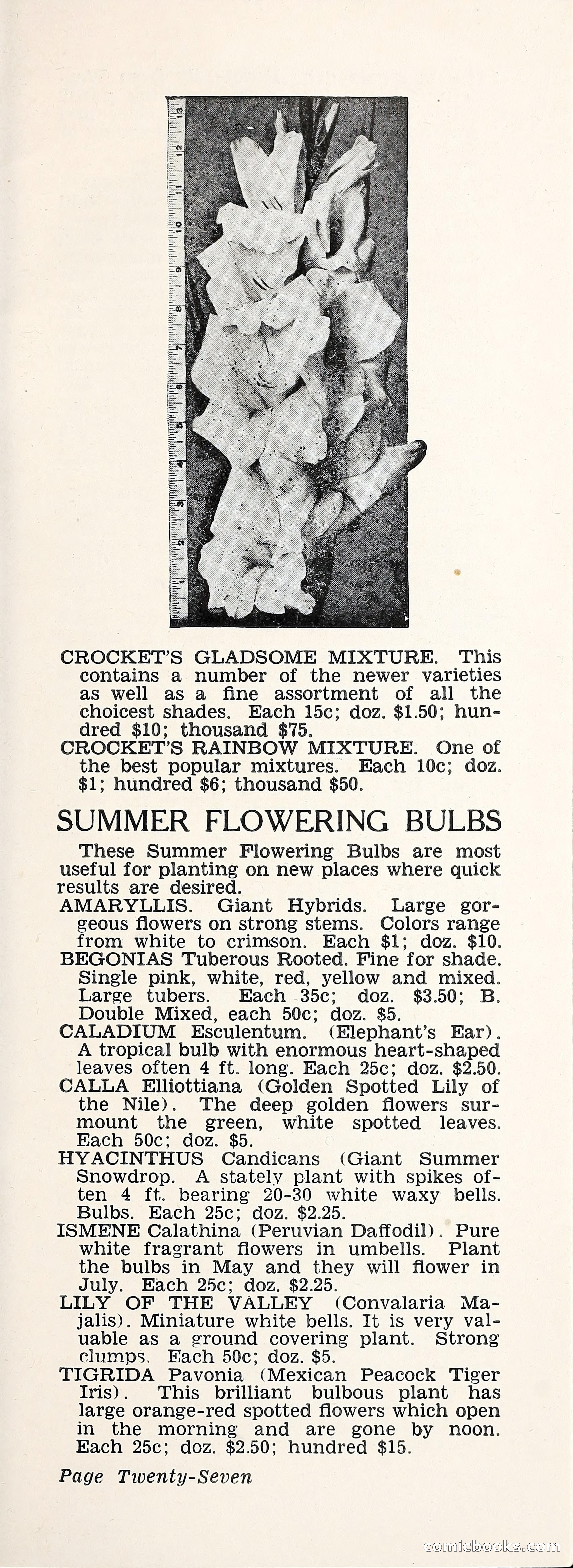 Crockett's Blue Book: Alpines, Perennials, Seeds, Bulbs — page 32 of 37