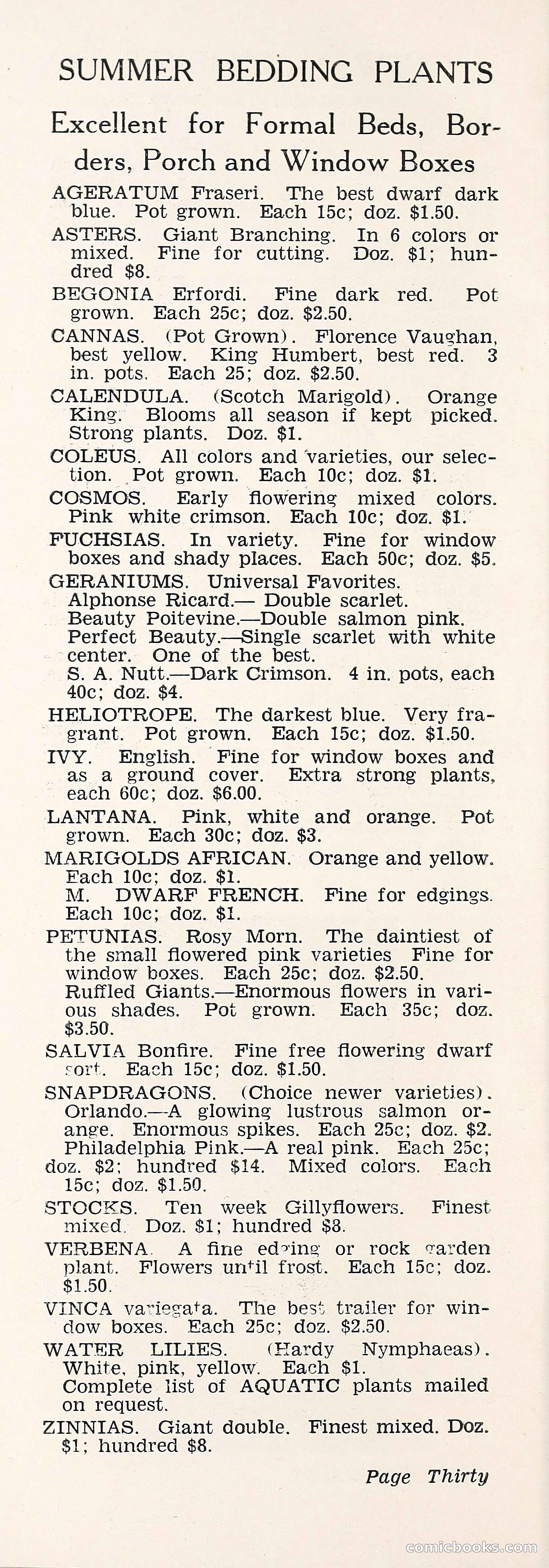 Crockett's Blue Book: Alpines, Perennials, Seeds, Bulbs — page 35 of 37