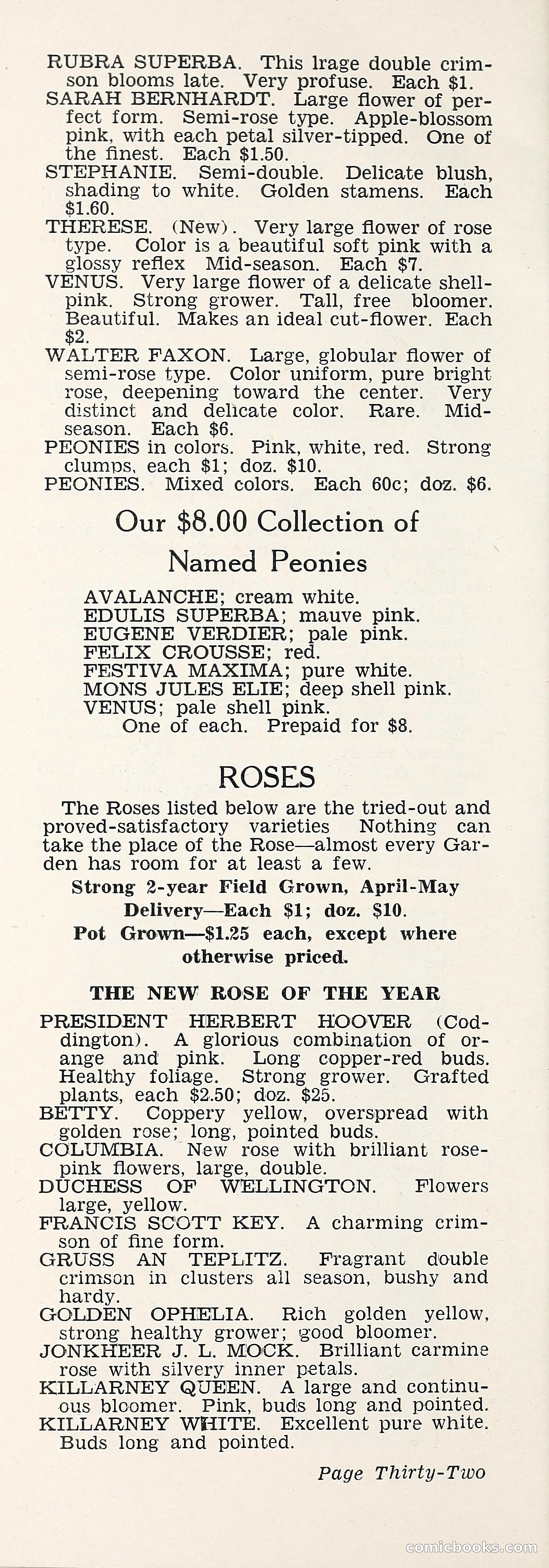 Crockett's Blue Book: Alpines, Perennials, Seeds, Bulbs — page 37 of 37