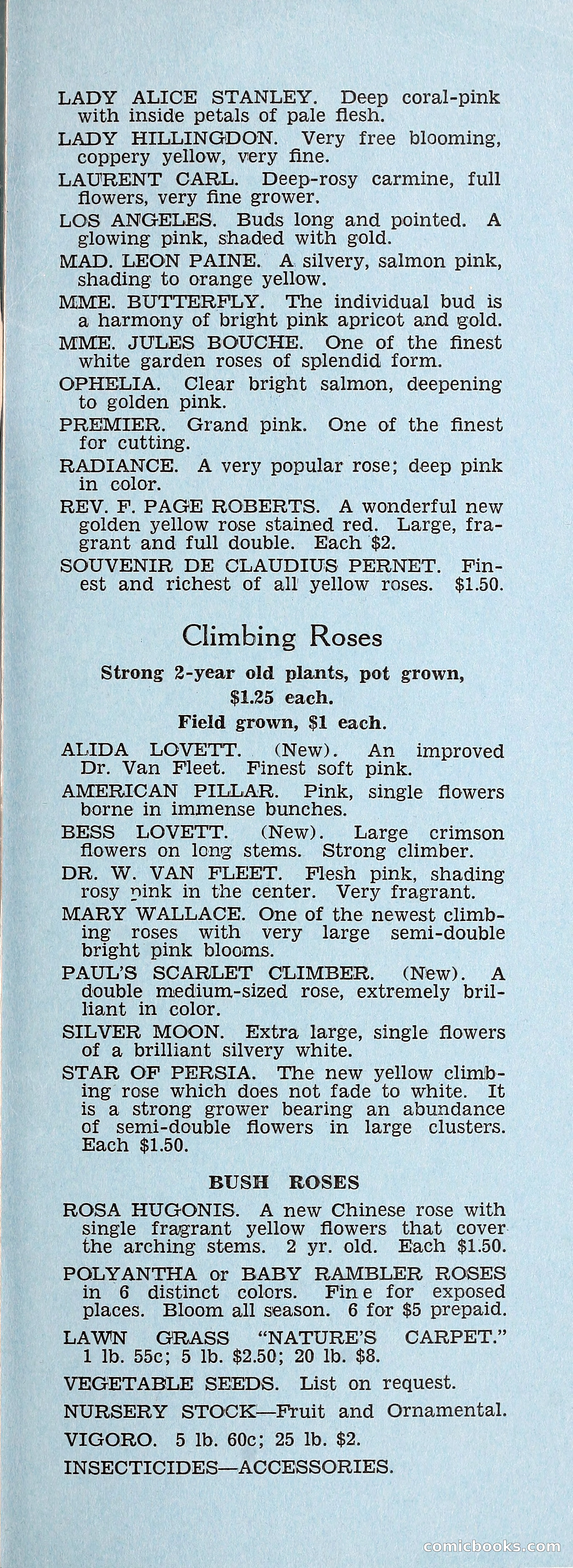 Crockett's Blue Book: Alpines, Perennials, Seeds, Bulbs — page 38 of 37