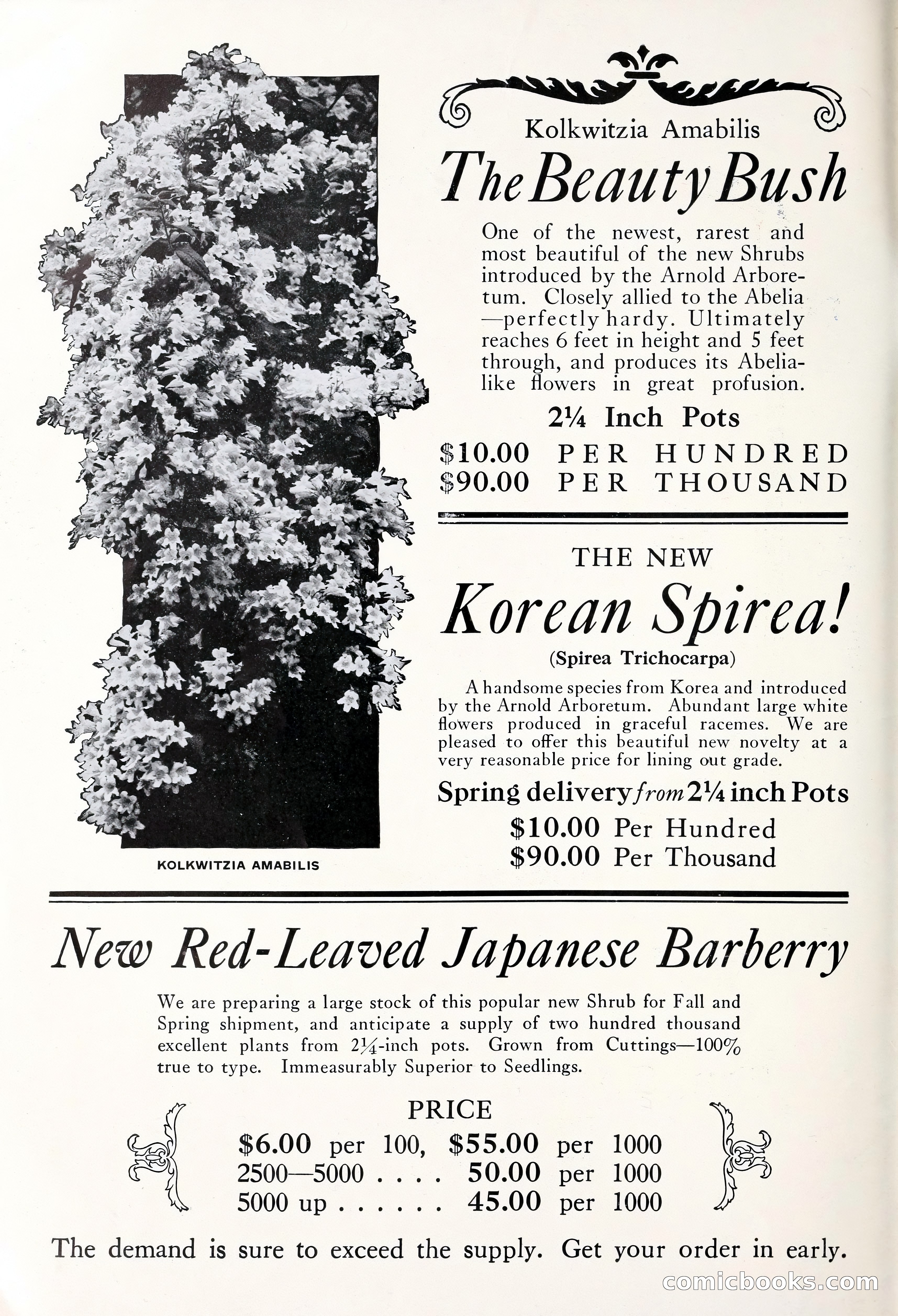 Good & Reese Co.'s Blue Book for Florists — page 4 of 58