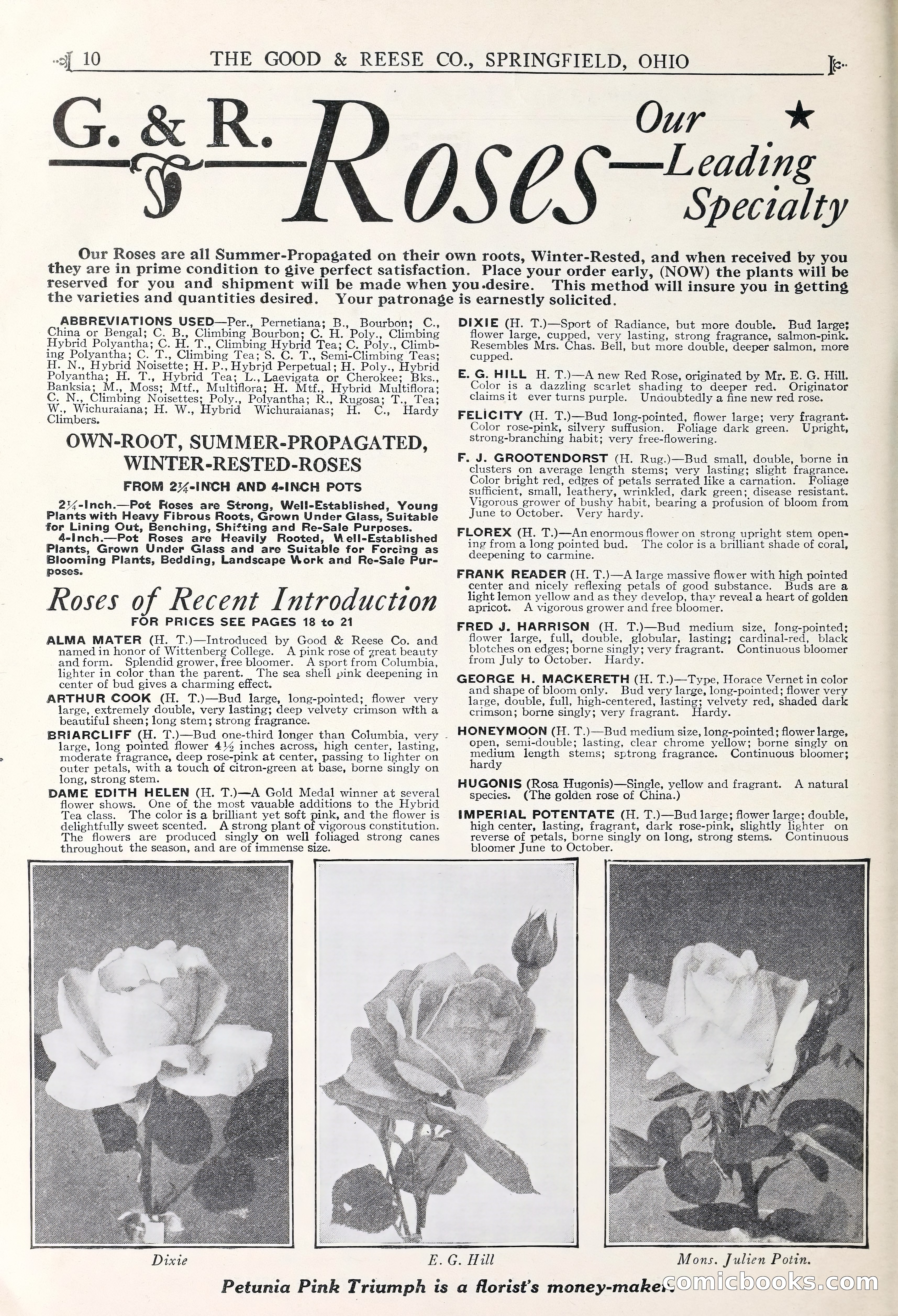 Good & Reese Co.'s Blue Book for Florists — page 14 of 58