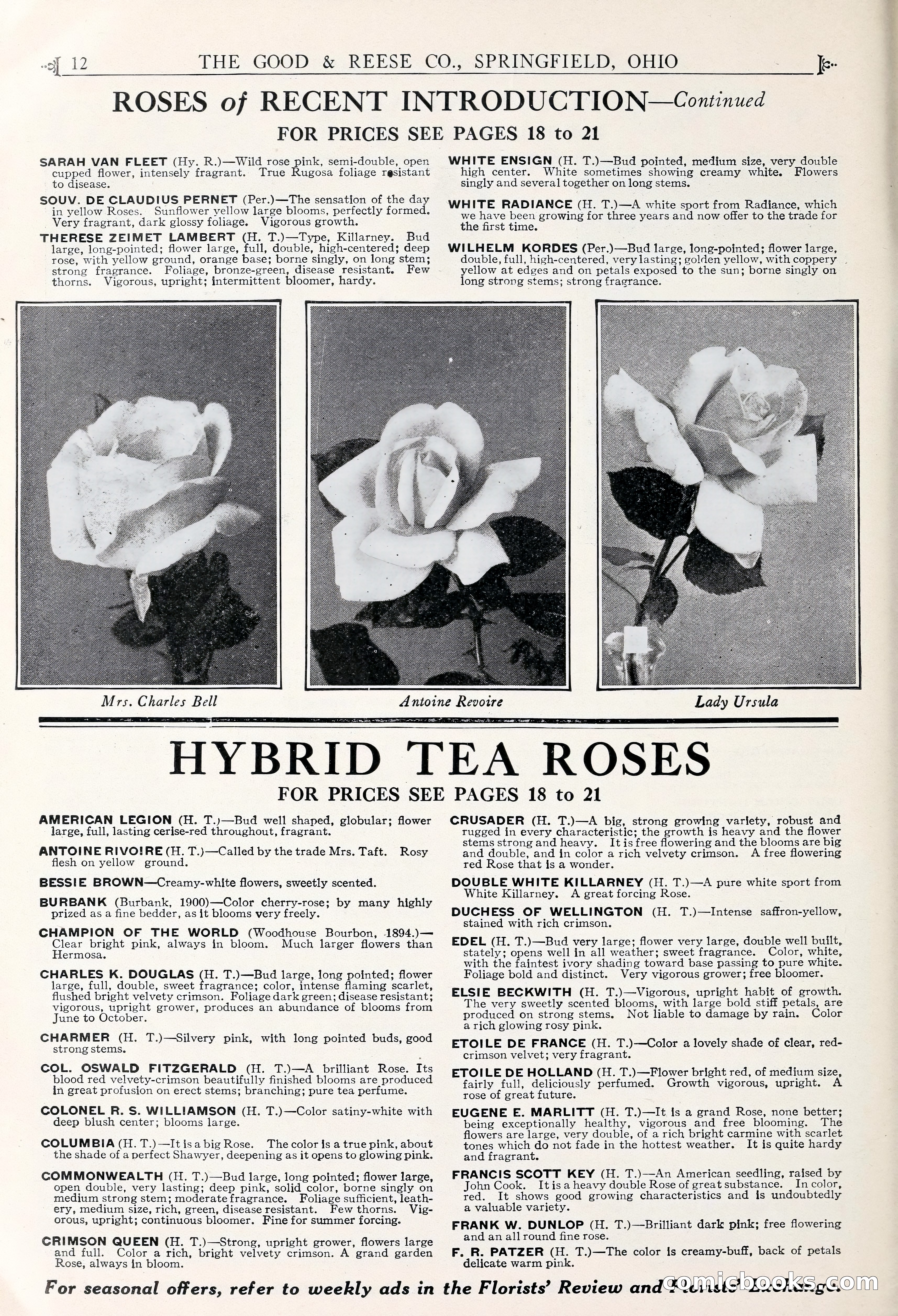 Good & Reese Co.'s Blue Book for Florists — page 16 of 58