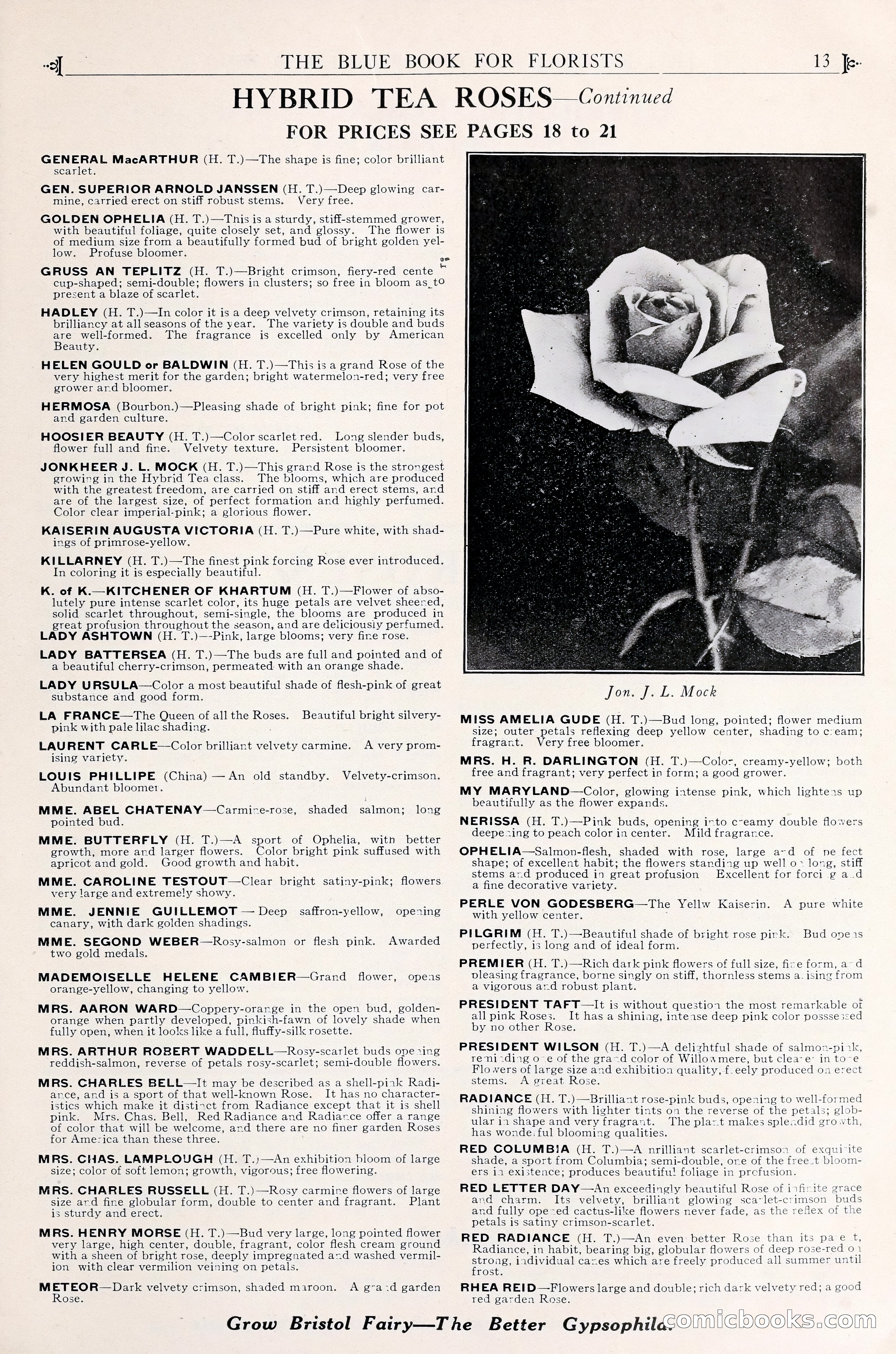 Good & Reese Co.'s Blue Book for Florists — page 17 of 58