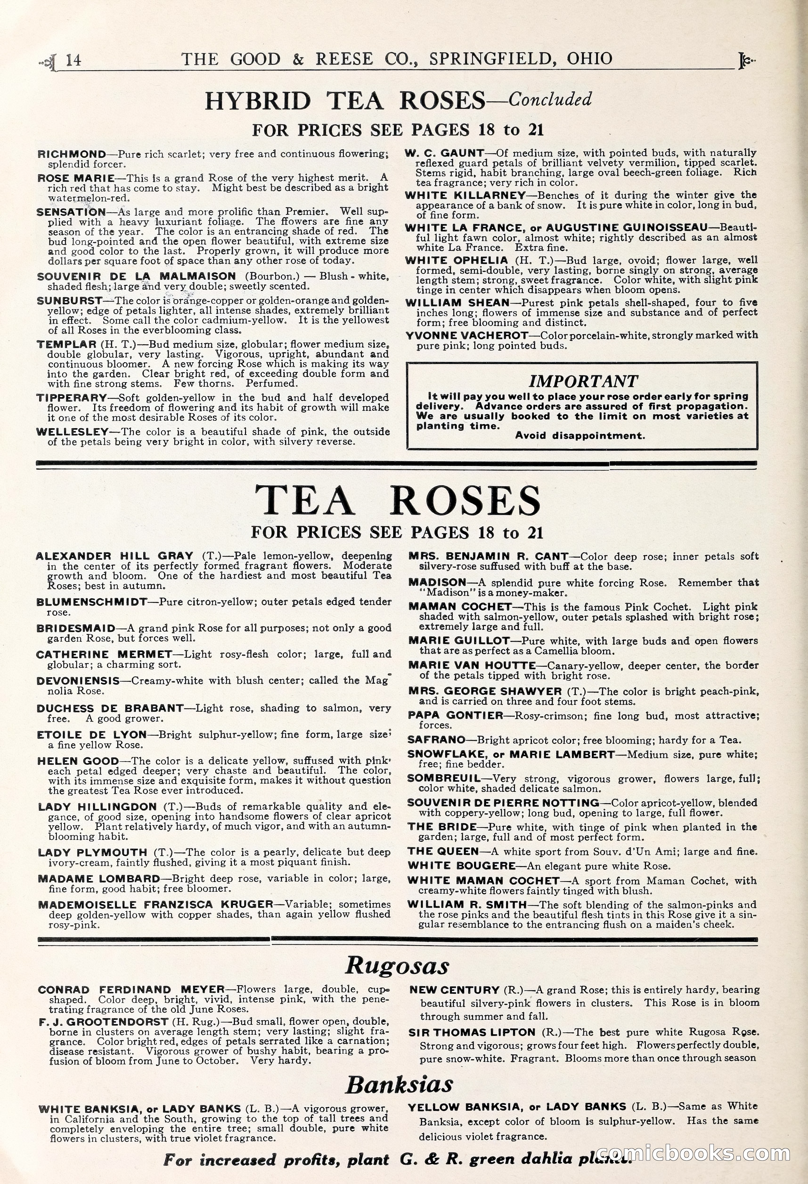 Good & Reese Co.'s Blue Book for Florists — page 18 of 58