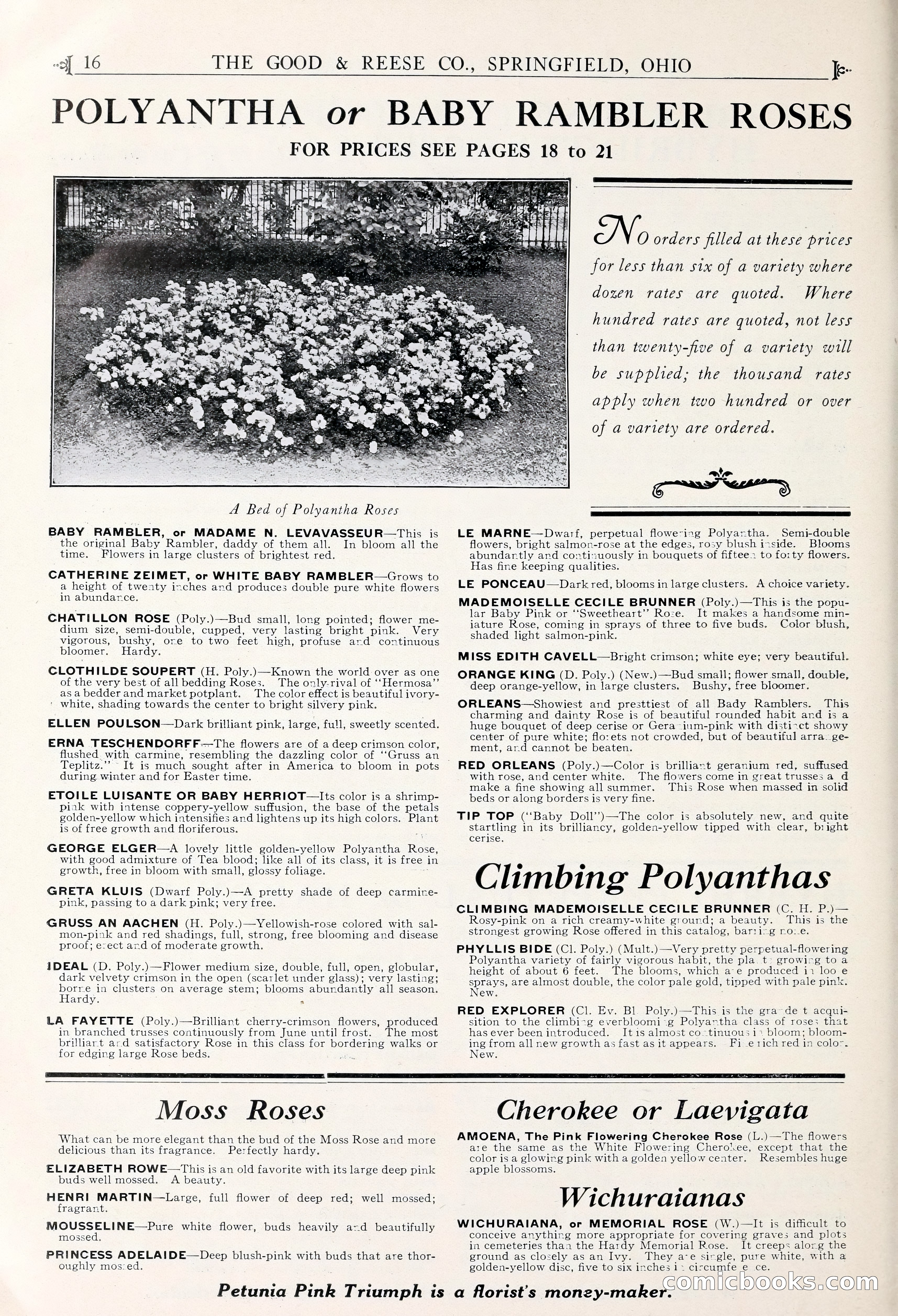 Good & Reese Co.'s Blue Book for Florists — page 20 of 58