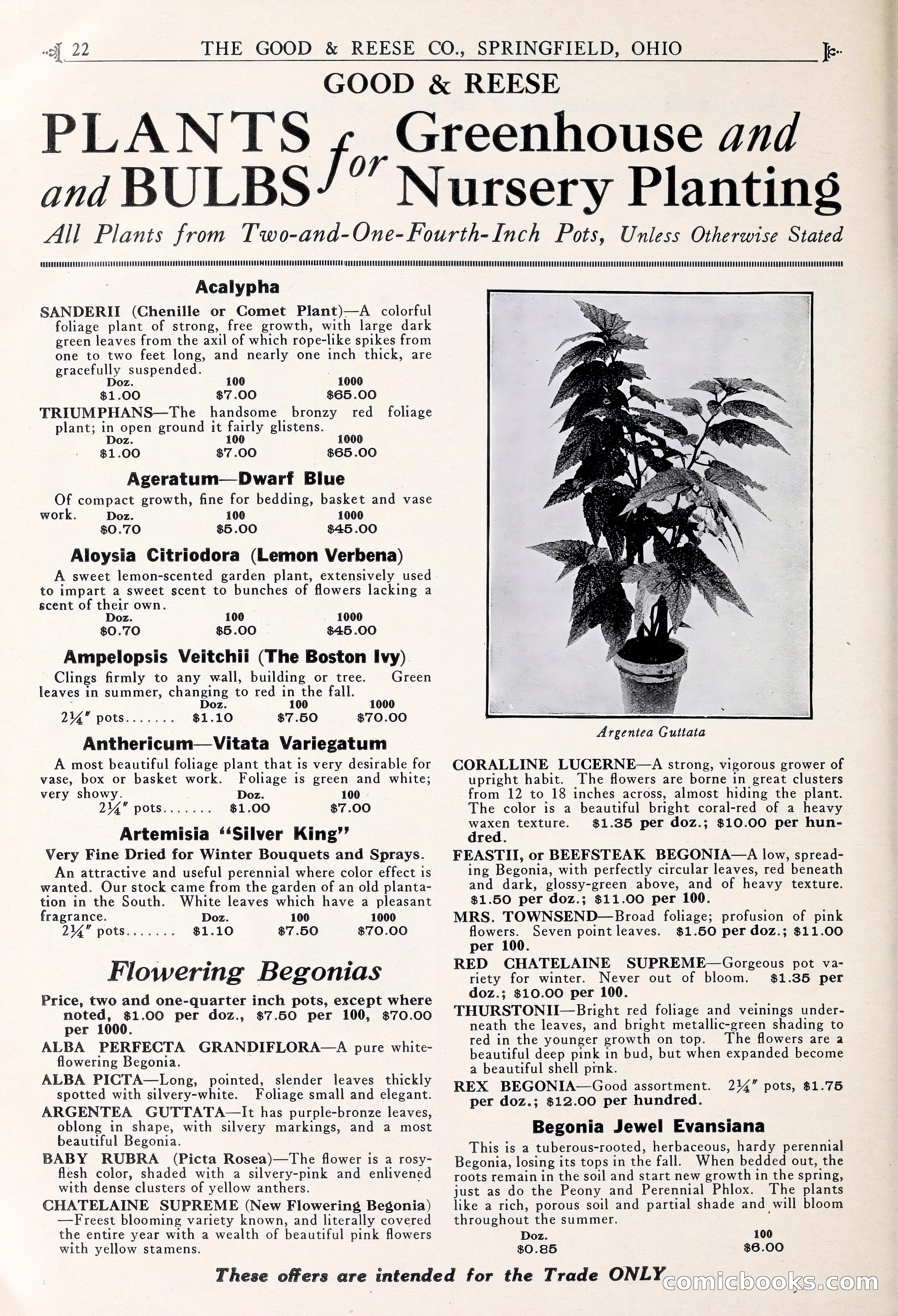 Good & Reese Co.'s Blue Book for Florists — page 26 of 58