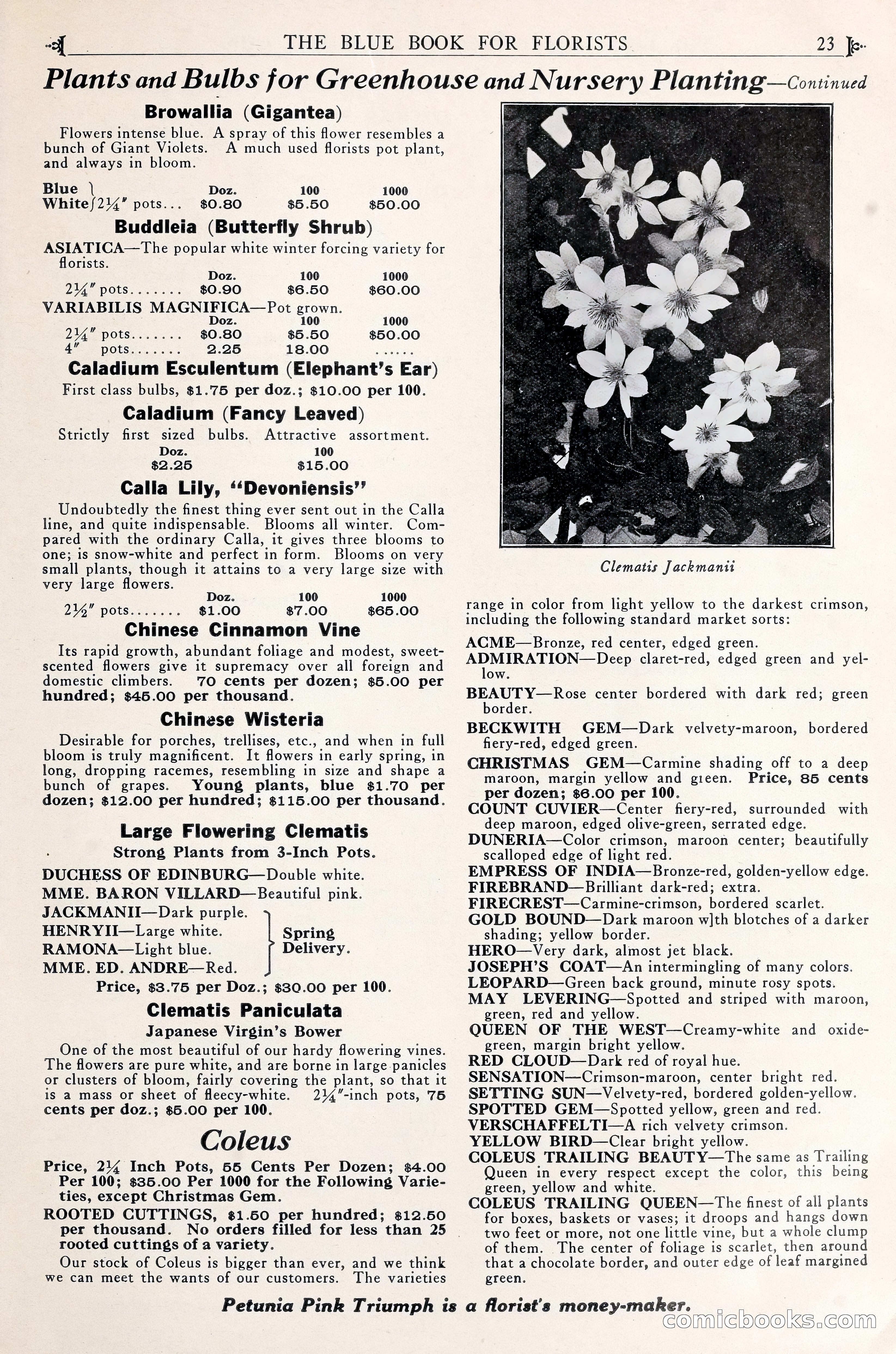 Good & Reese Co.'s Blue Book for Florists — page 27 of 58