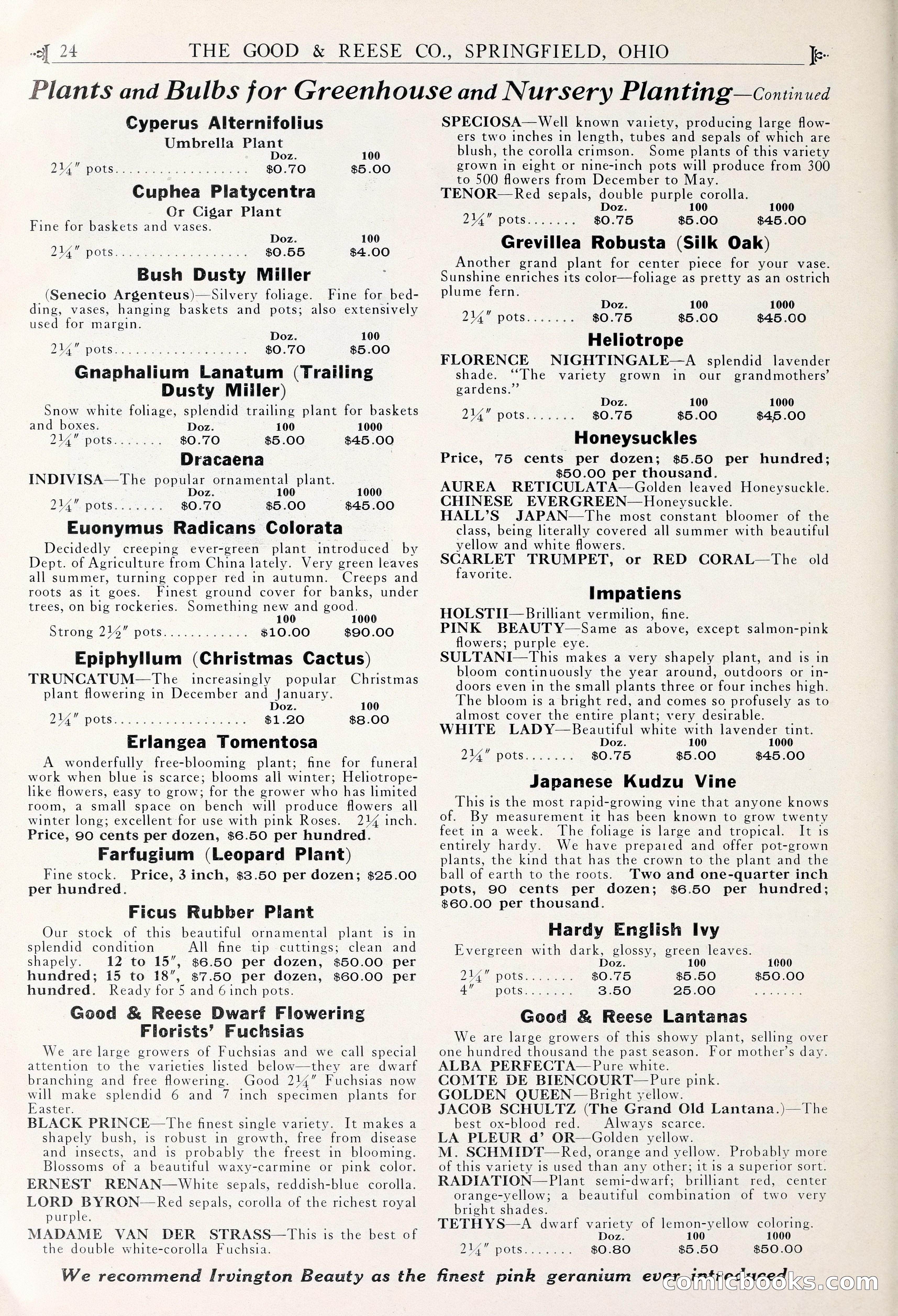 Good & Reese Co.'s Blue Book for Florists — page 28 of 58