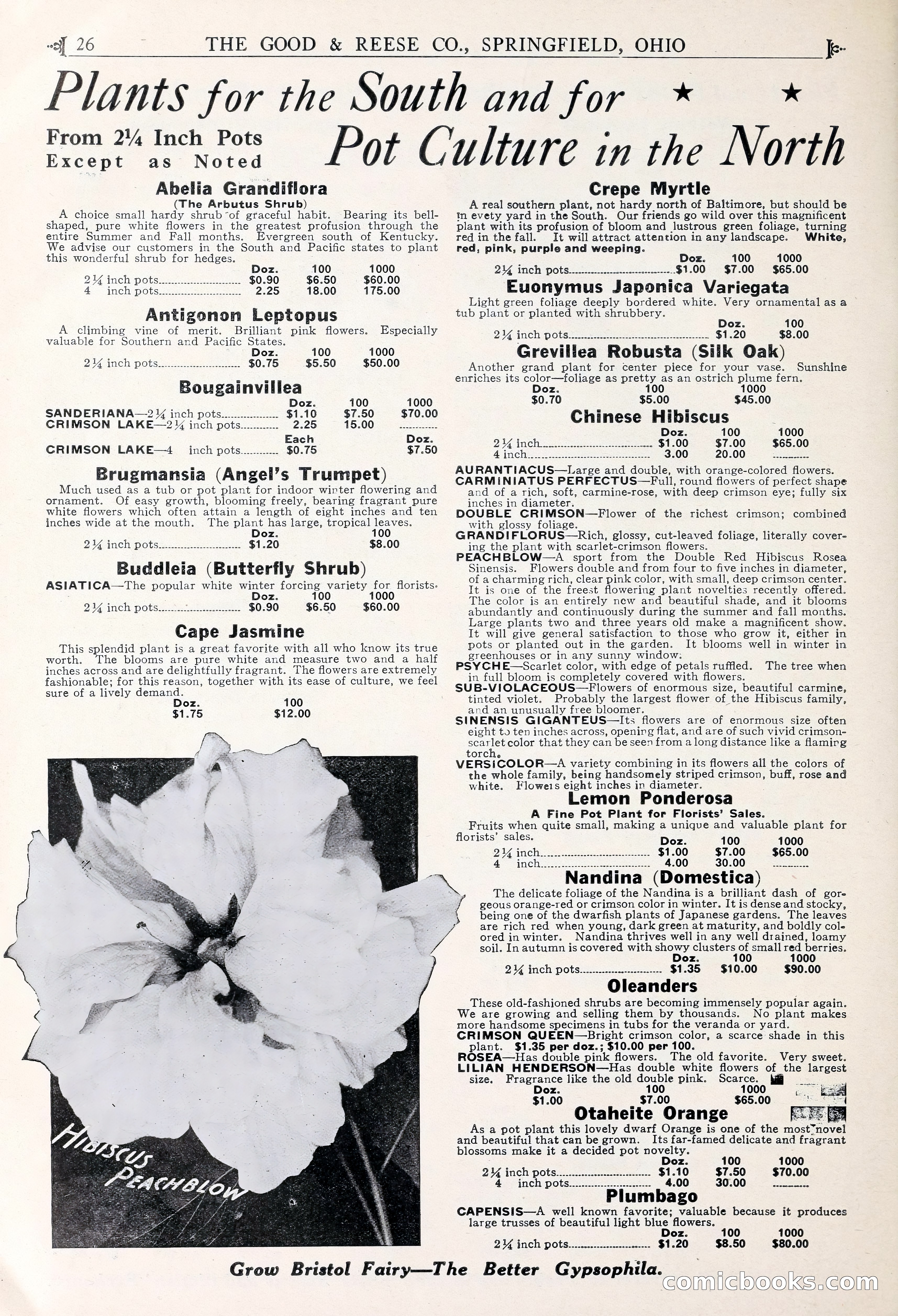 Good & Reese Co.'s Blue Book for Florists — page 30 of 58
