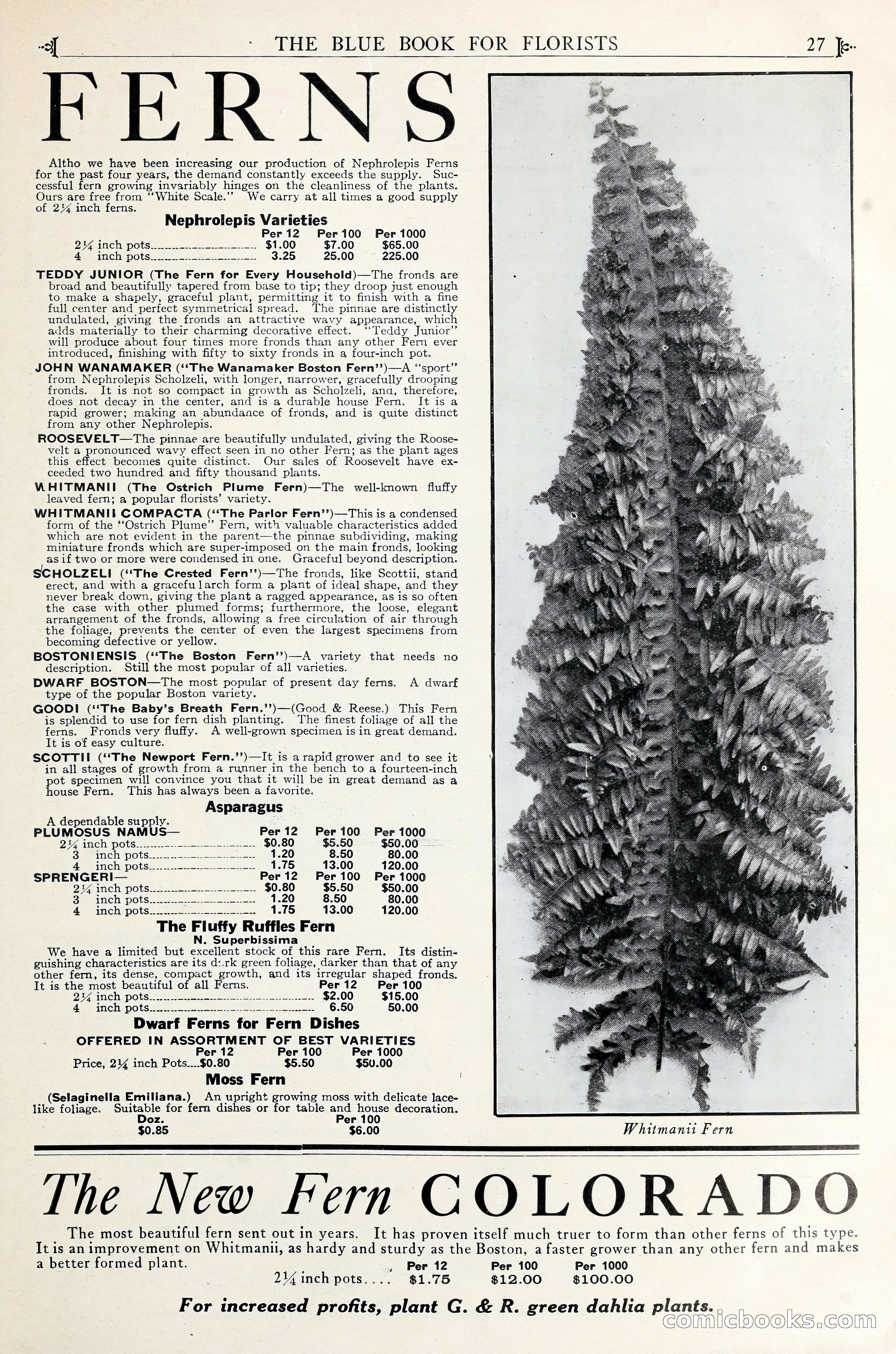Good & Reese Co.'s Blue Book for Florists — page 31 of 58