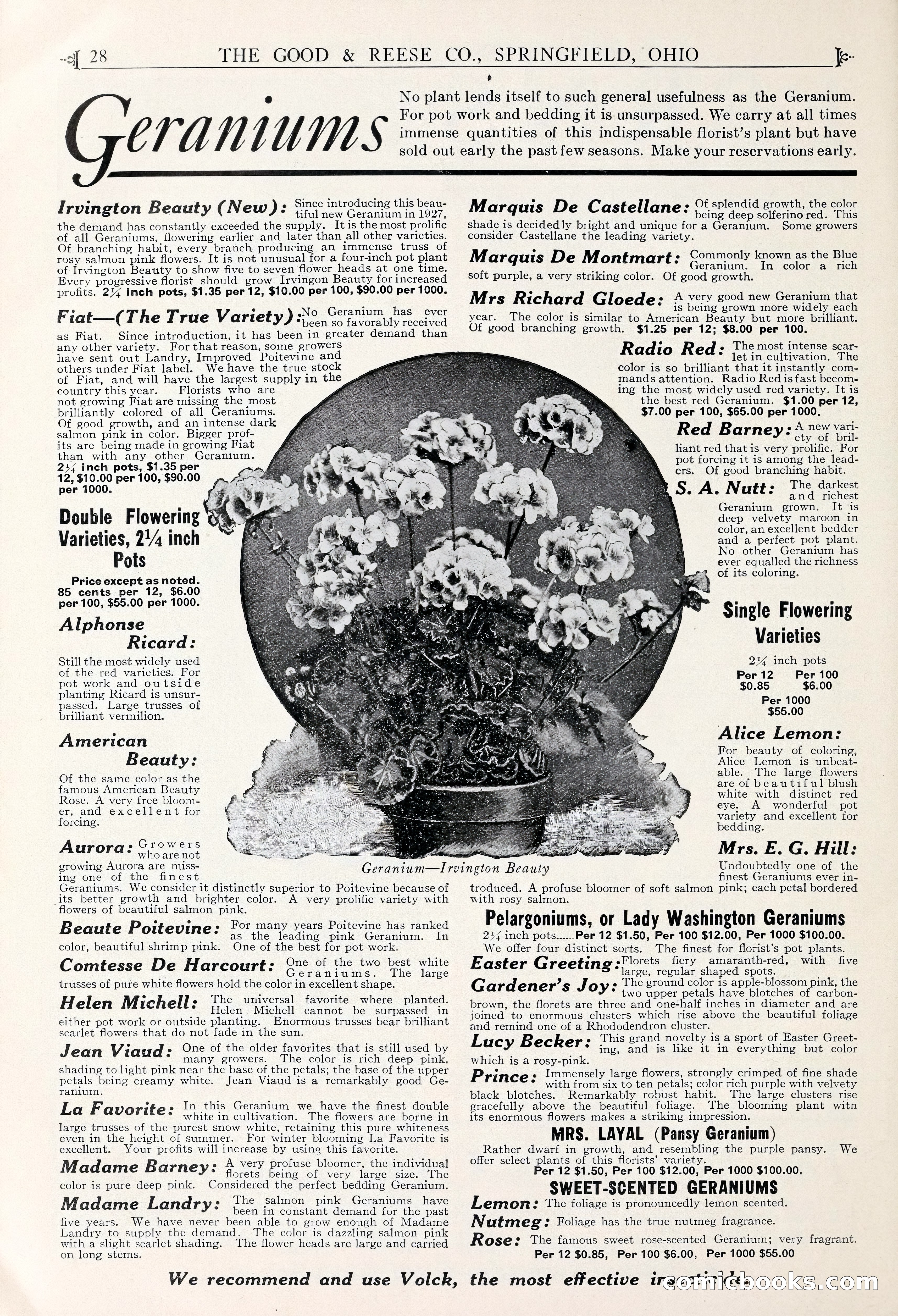Good & Reese Co.'s Blue Book for Florists — page 32 of 58