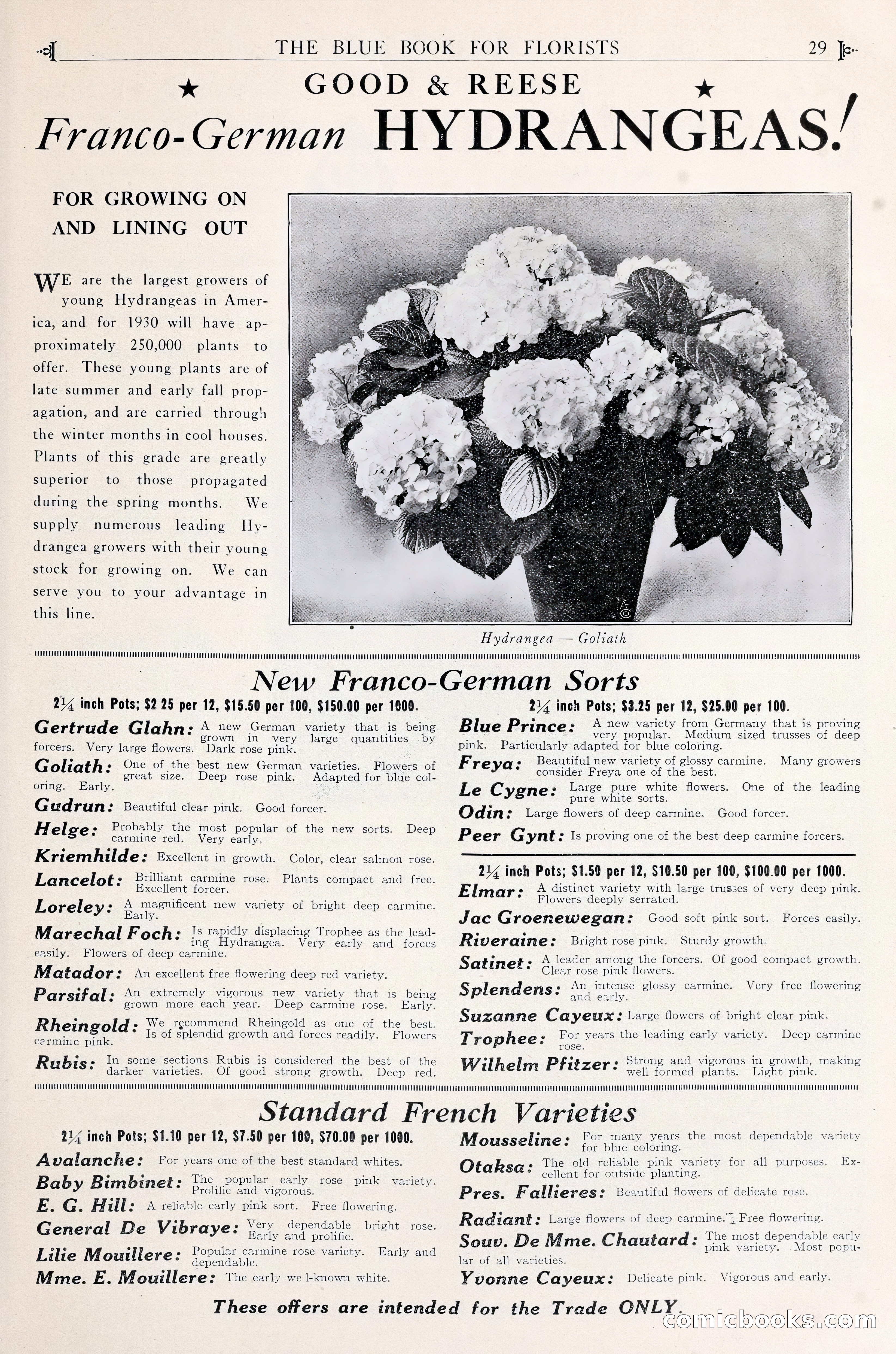 Good & Reese Co.'s Blue Book for Florists — page 33 of 58