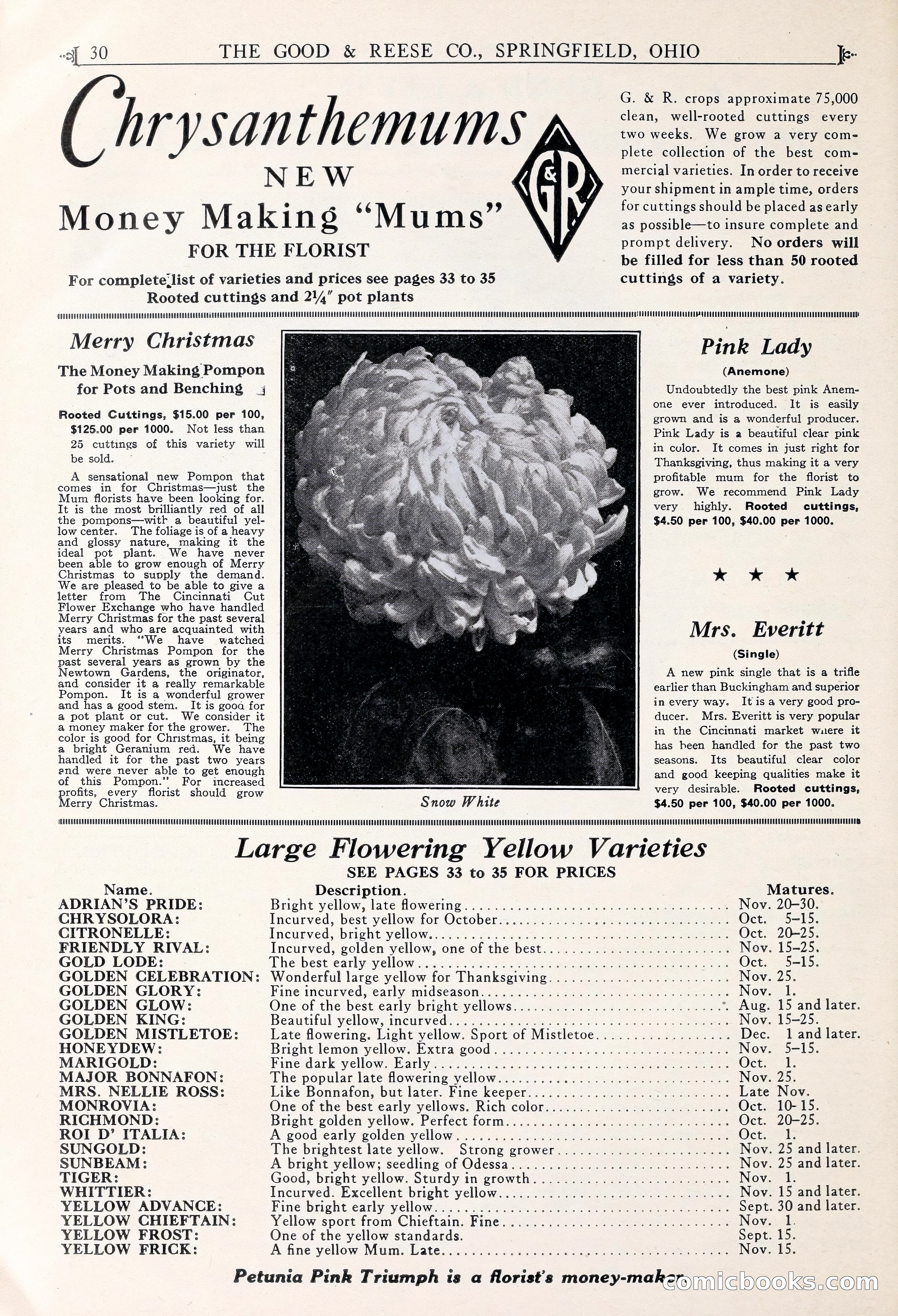 Good & Reese Co.'s Blue Book for Florists — page 34 of 58