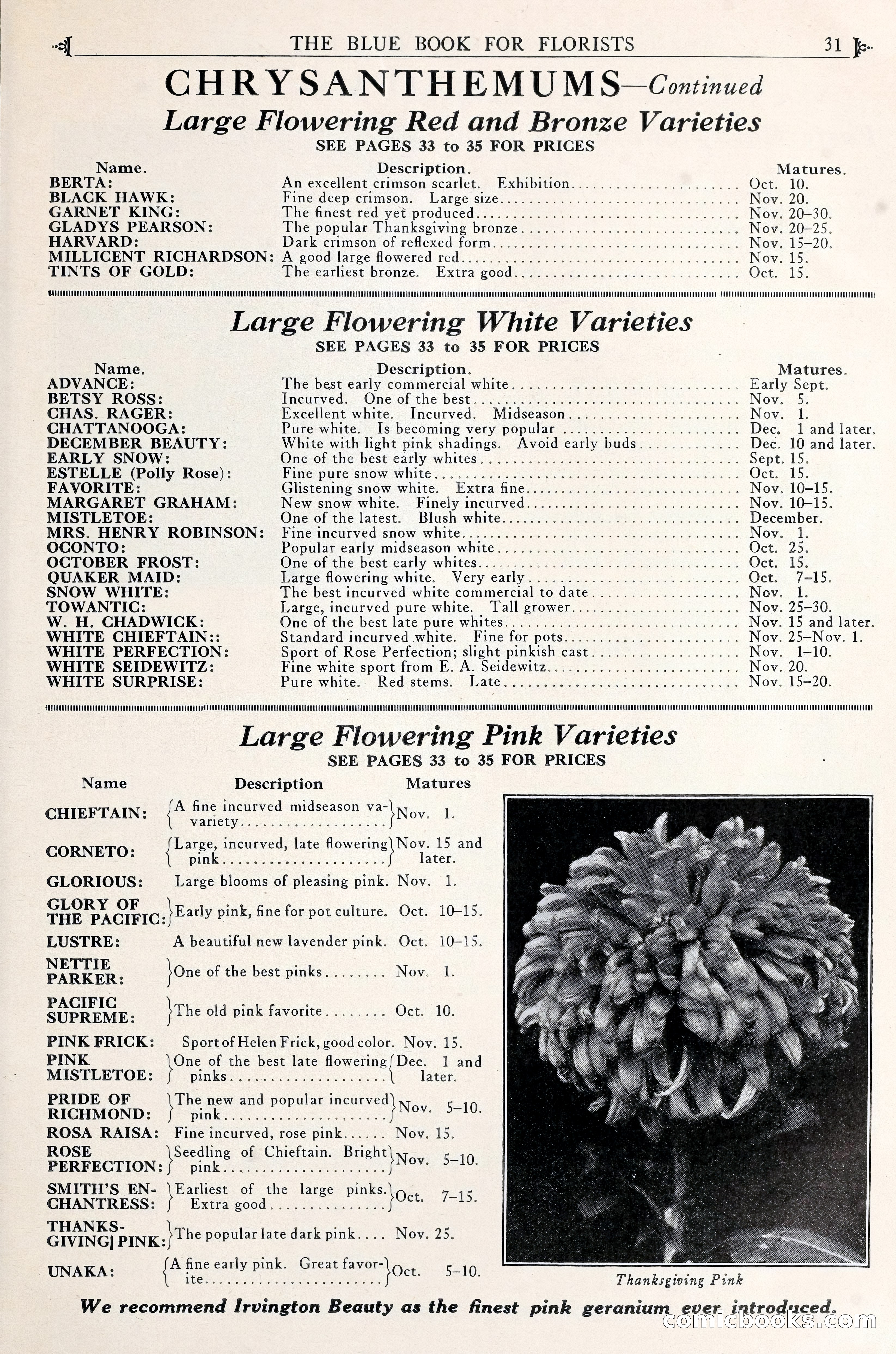 Good & Reese Co.'s Blue Book for Florists — page 35 of 58