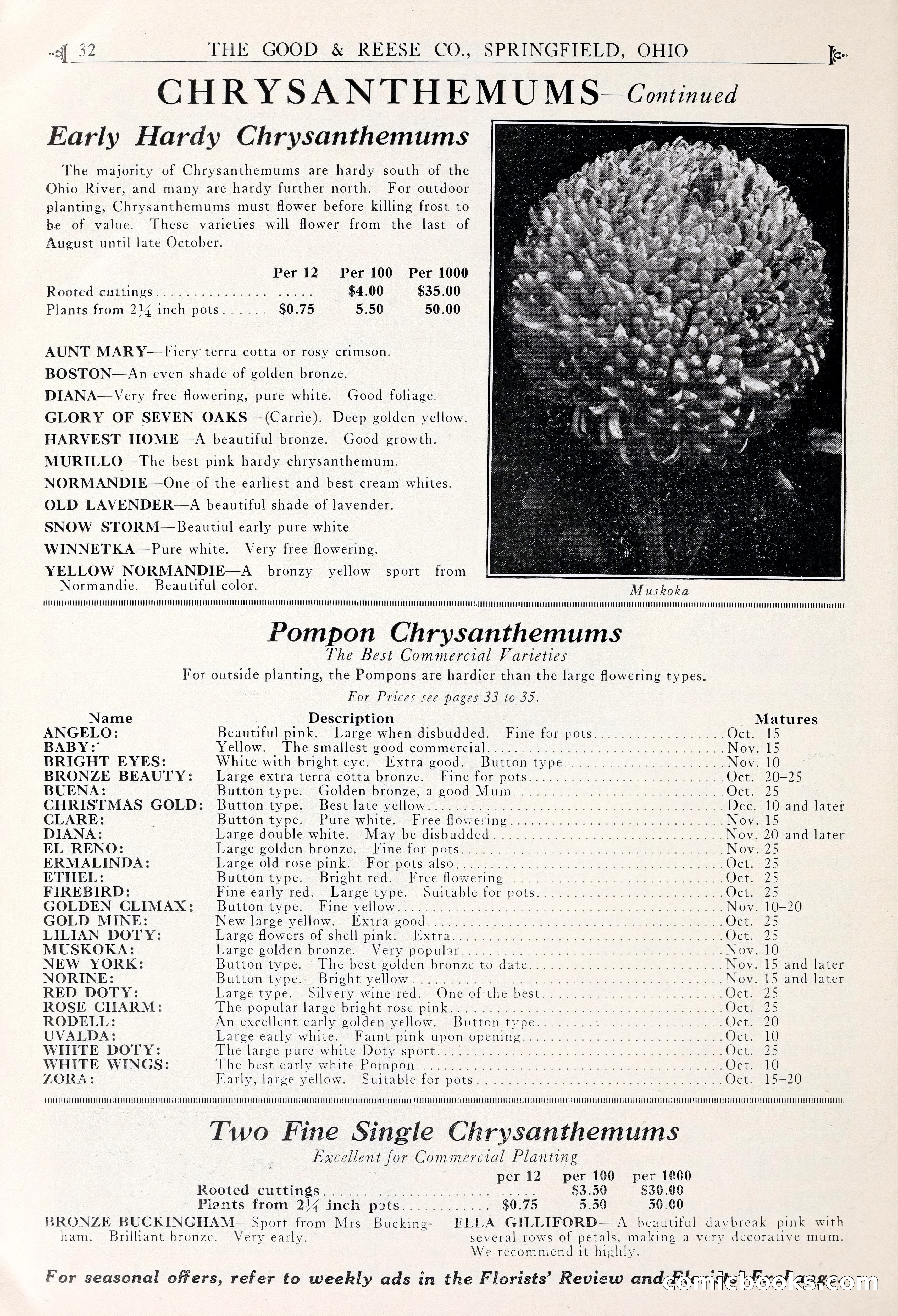 Good & Reese Co.'s Blue Book for Florists — page 36 of 58