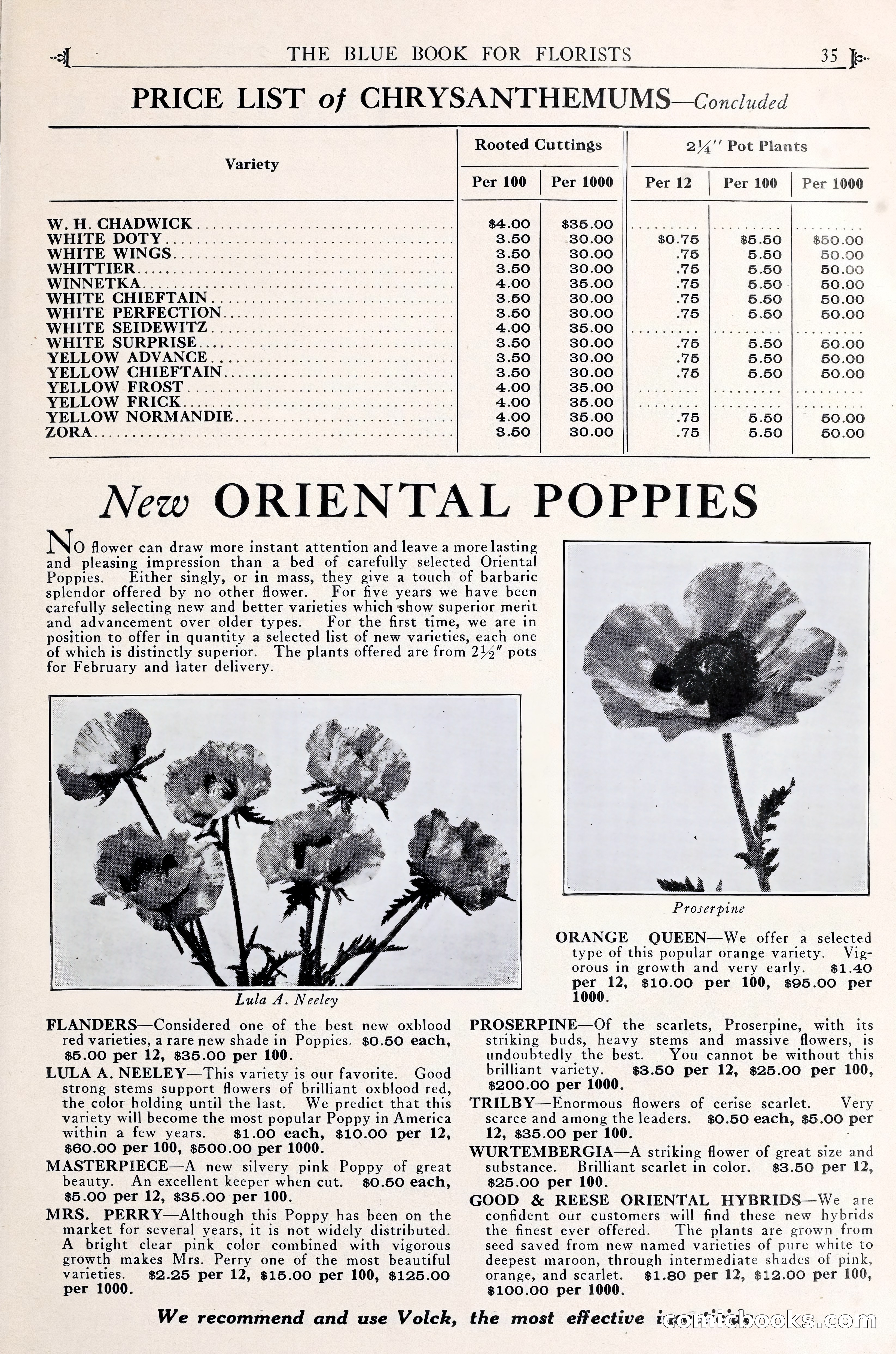 Good & Reese Co.'s Blue Book for Florists — page 39 of 58