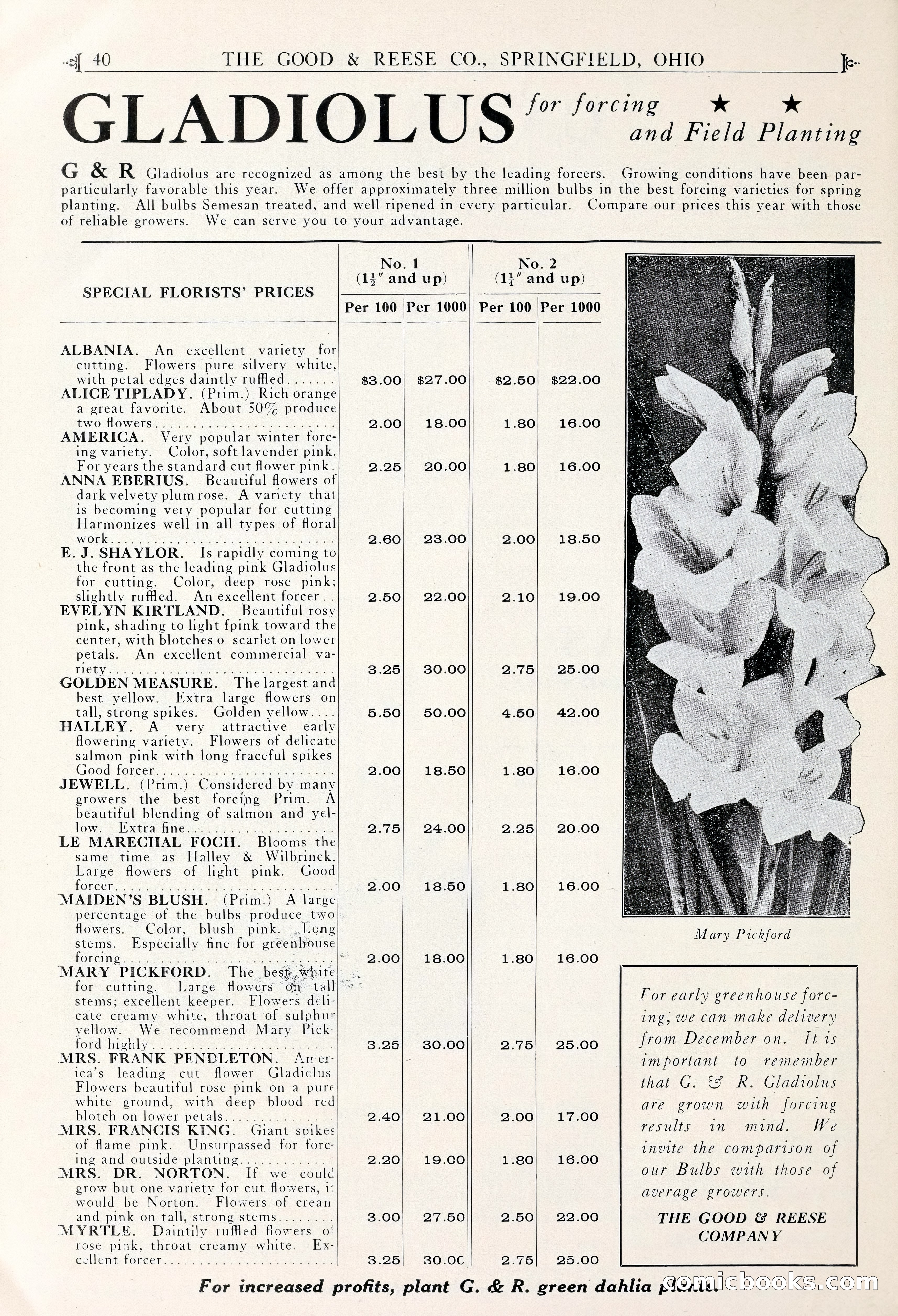Good & Reese Co.'s Blue Book for Florists — page 44 of 58
