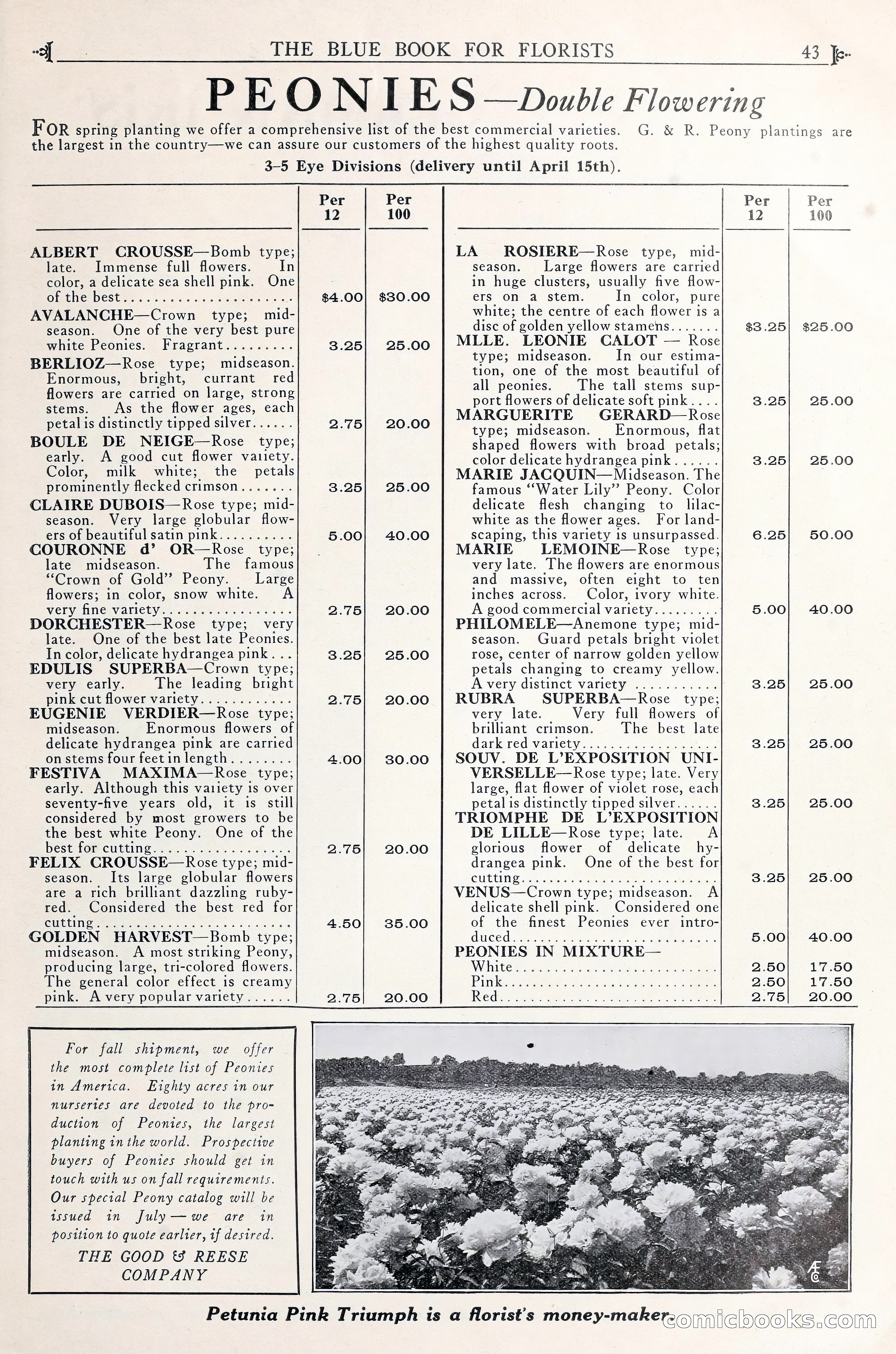 Good & Reese Co.'s Blue Book for Florists — page 47 of 58