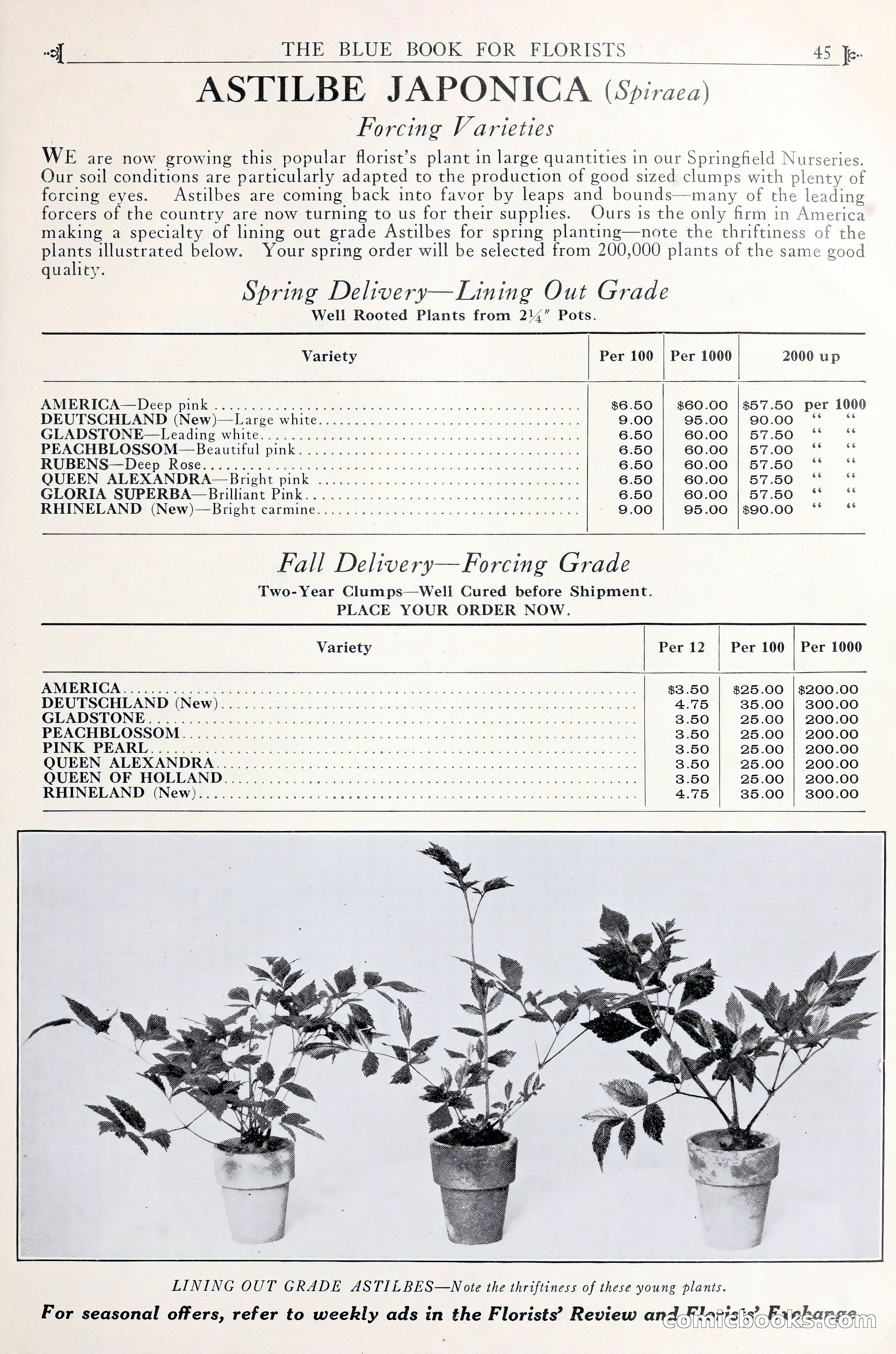 Good & Reese Co.'s Blue Book for Florists — page 49 of 58